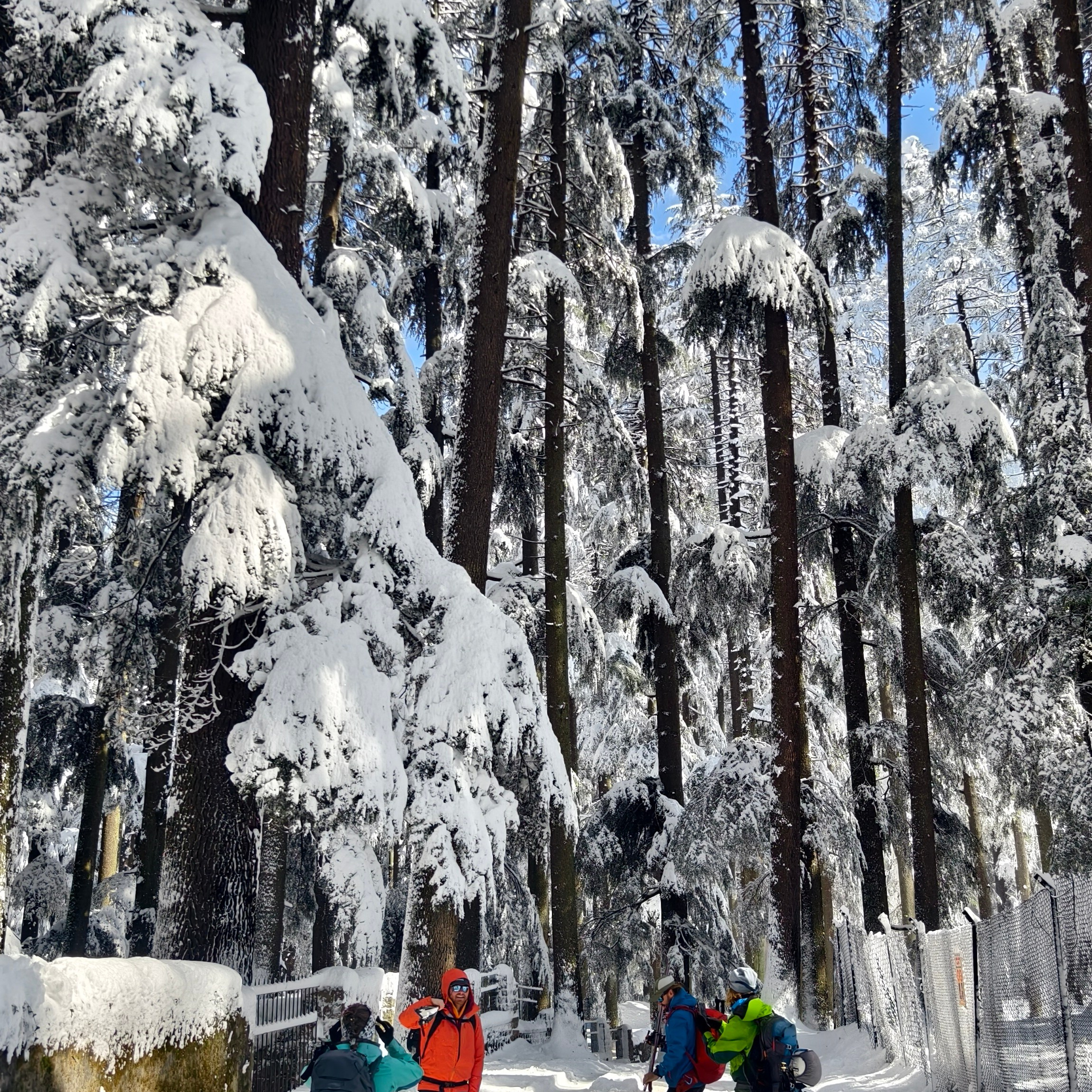 Путешествие в Долину Богов — Манали. Айгуль Лотфуллина. #АйгульТВ. Фотограф в Адлере и Сочи, Красной Поляне