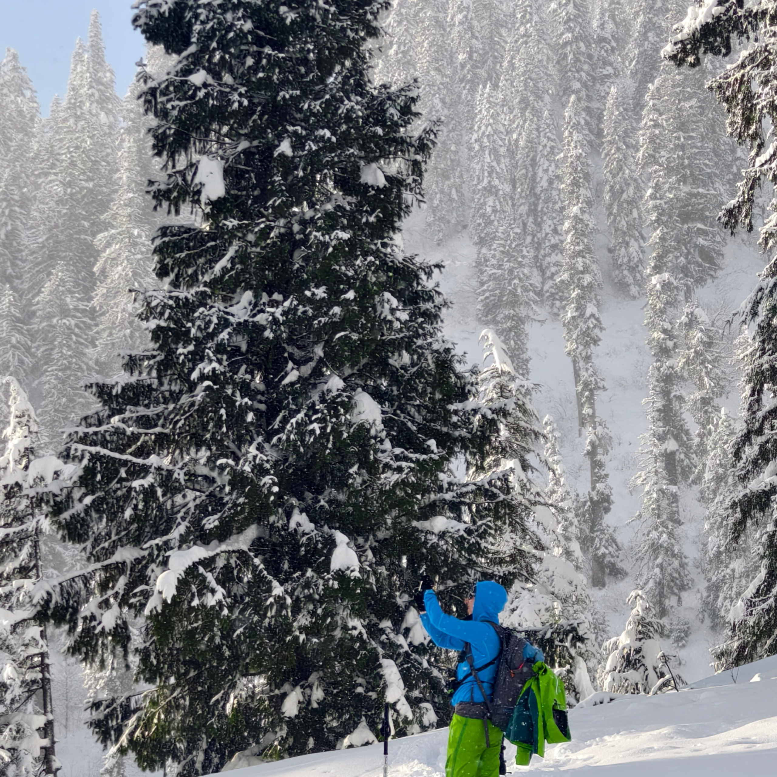 Путешествие в Долину Богов — Манали. Айгуль Лотфуллина. #АйгульТВ. Фотограф в Адлере и Сочи, Красной Поляне
