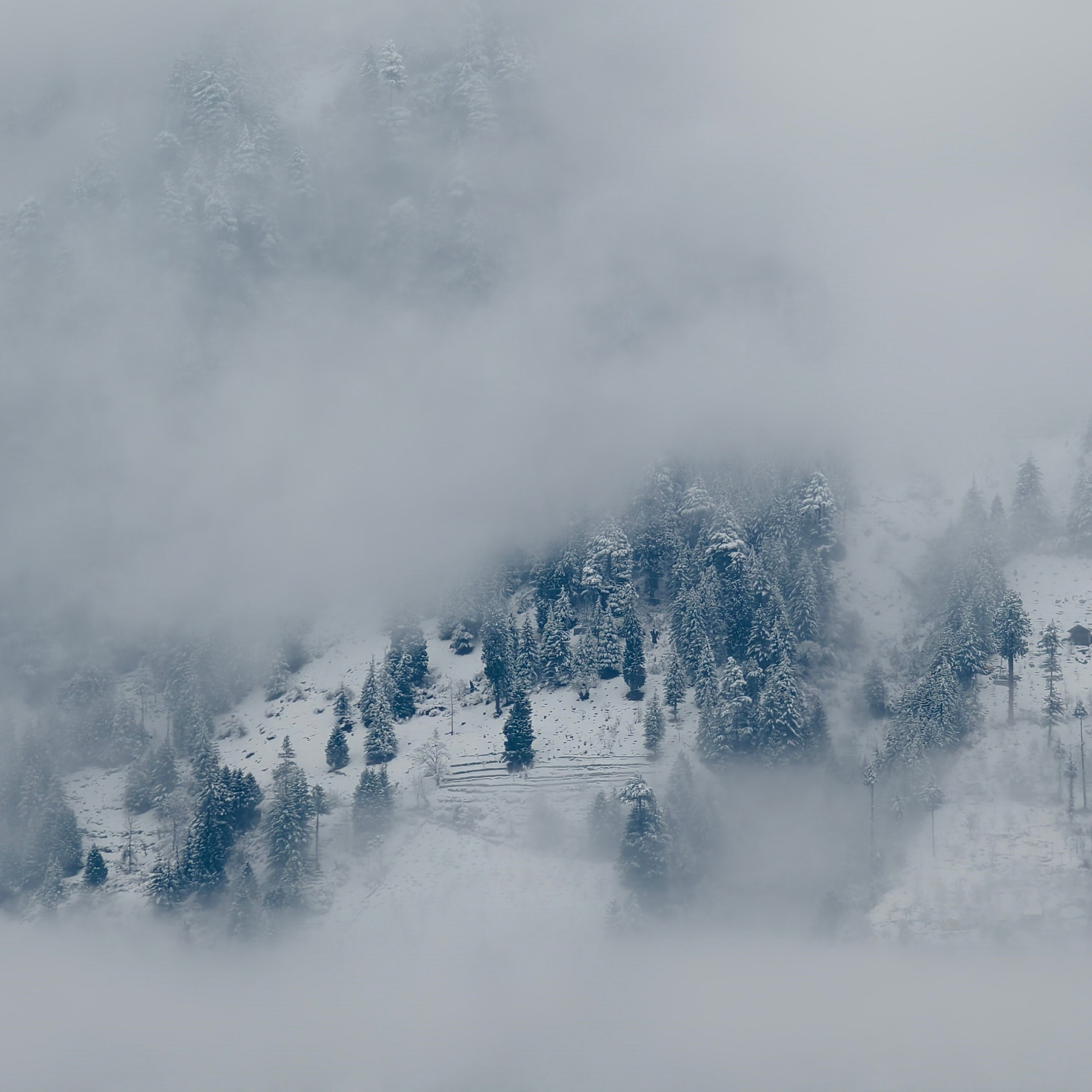 Путешествие в Долину Богов — Манали. Айгуль Лотфуллина. #АйгульТВ. Фотограф в Адлере и Сочи, Красной Поляне