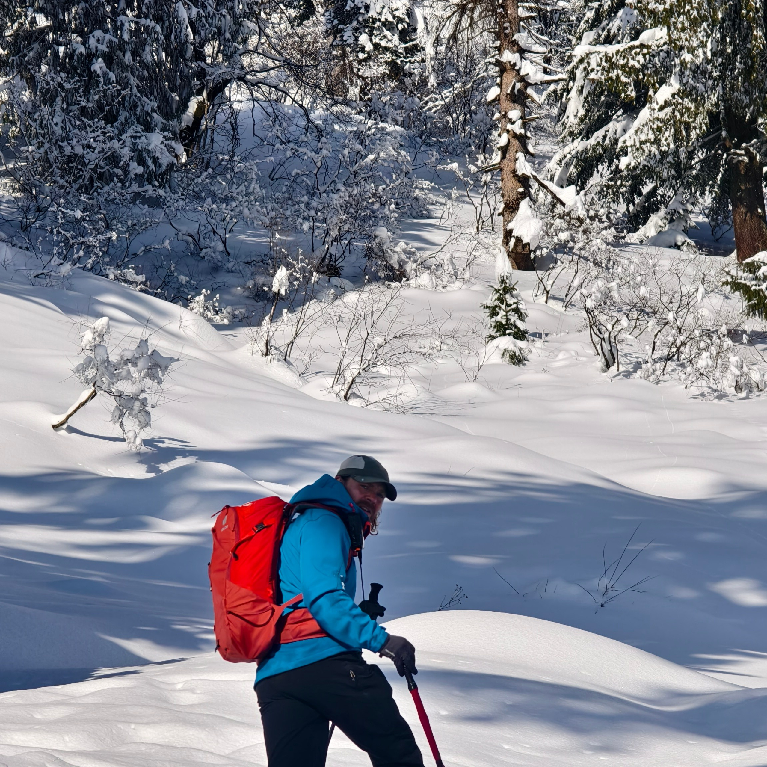 Путешествие в Долину Богов — Манали. Айгуль Лотфуллина. #АйгульТВ. Фотограф в Адлере и Сочи, Красной Поляне