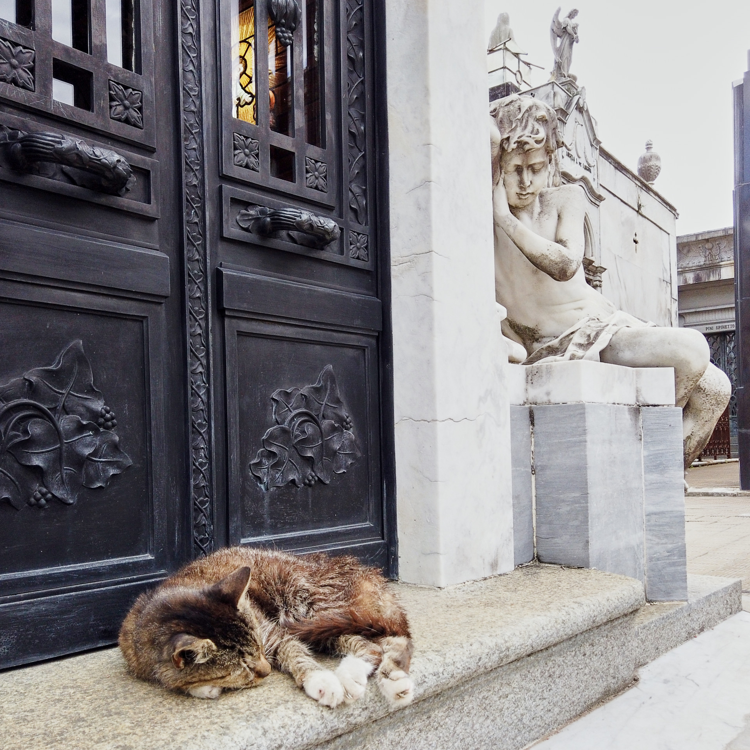 Патагония 2019. Айгуль Лотфуллина. #АйгульТВ. Фотограф в Адлере и Сочи, Красной Поляне