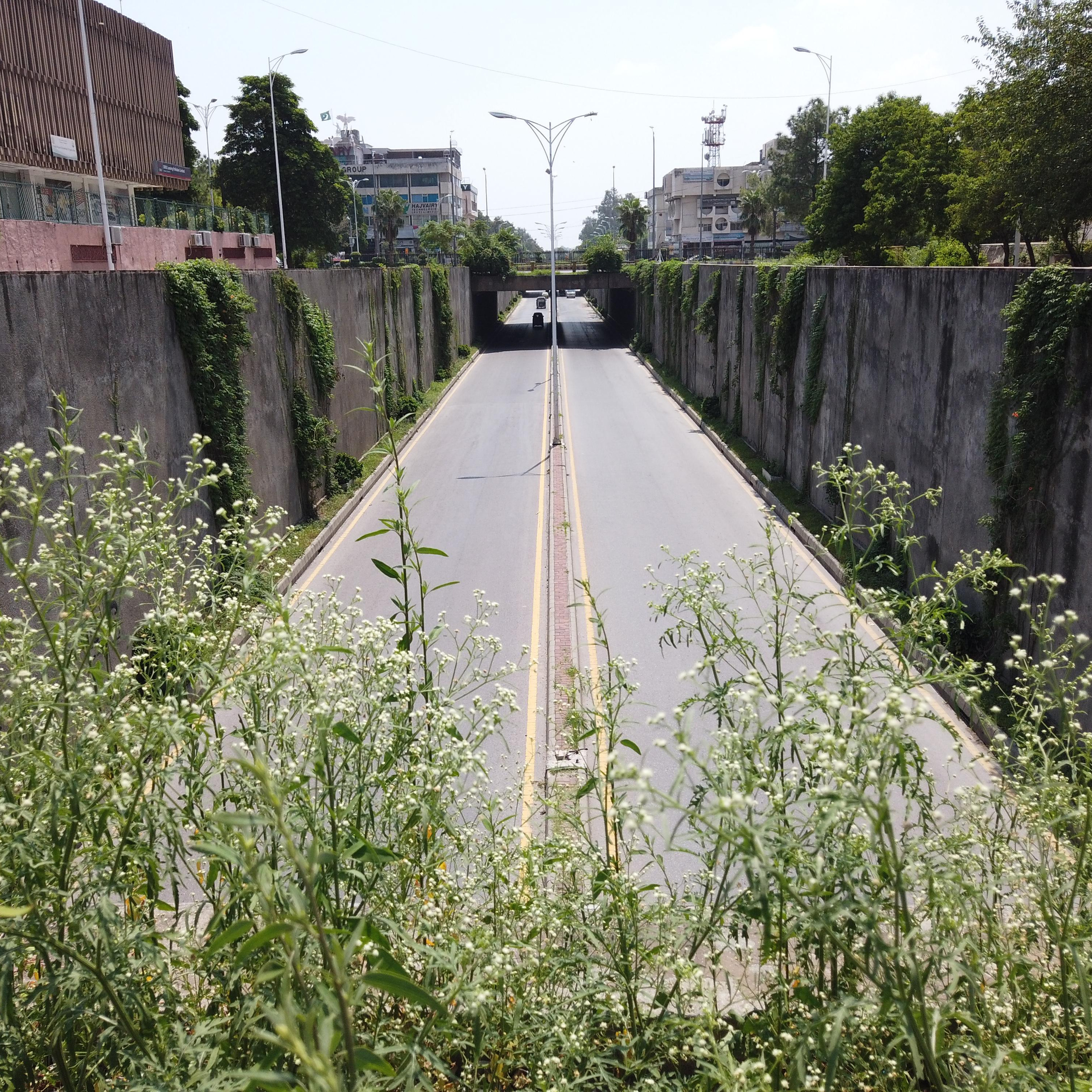 Пакистан 2019, путевые заметки, Лотфуллина Айгуль. Айгуль Лотфуллина. #АйгульТВ. Фотограф в Адлере и Сочи, Красной Поляне