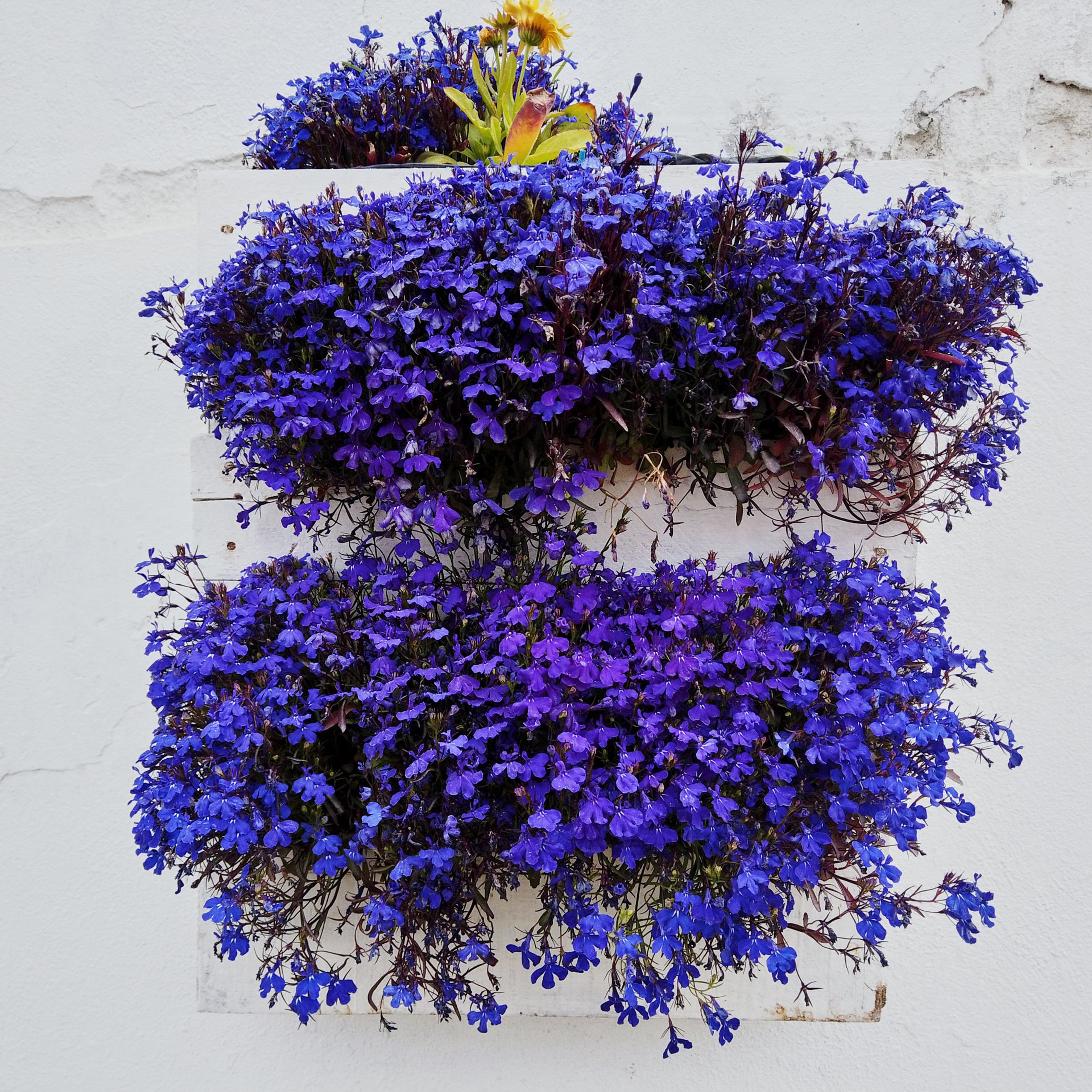 Патагония 2019. Айгуль Лотфуллина. #АйгульТВ. Фотограф в Адлере и Сочи, Красной Поляне