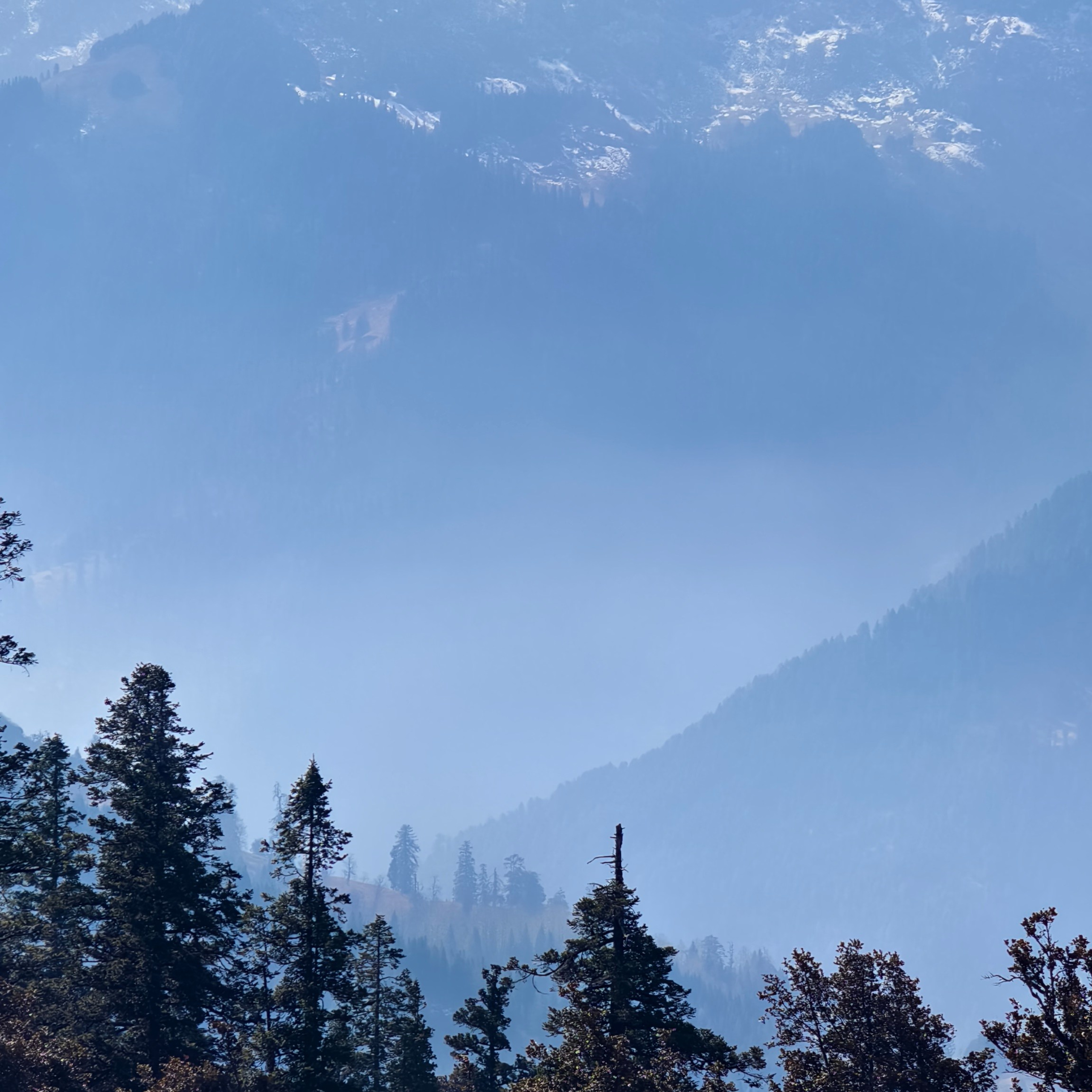 Путешествие в Долину Богов — Манали. Айгуль Лотфуллина. #АйгульТВ. Фотограф в Адлере и Сочи, Красной Поляне