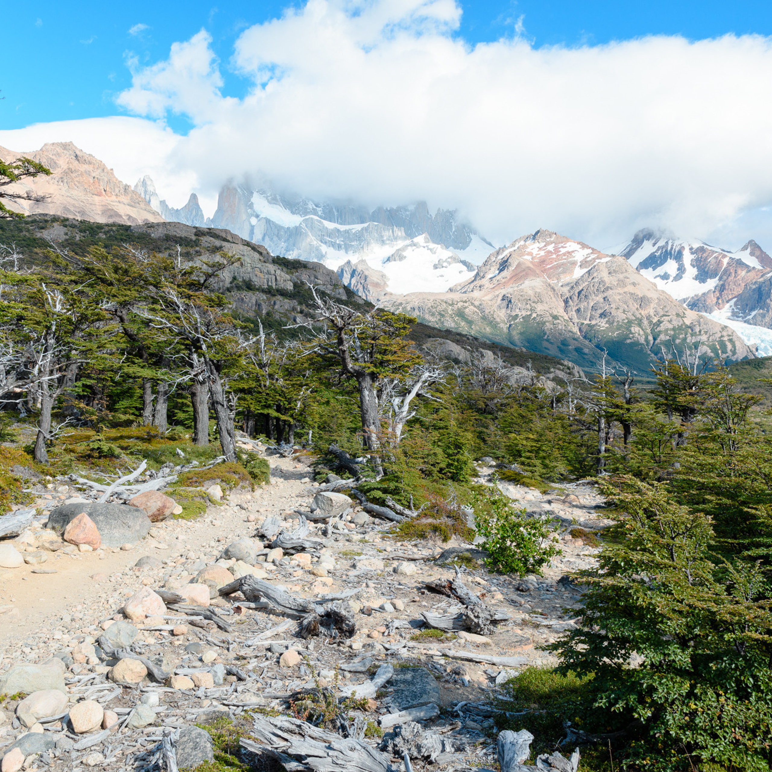 Патагония 2019. Айгуль Лотфуллина. #АйгульТВ. Фотограф в Адлере и Сочи, Красной Поляне
