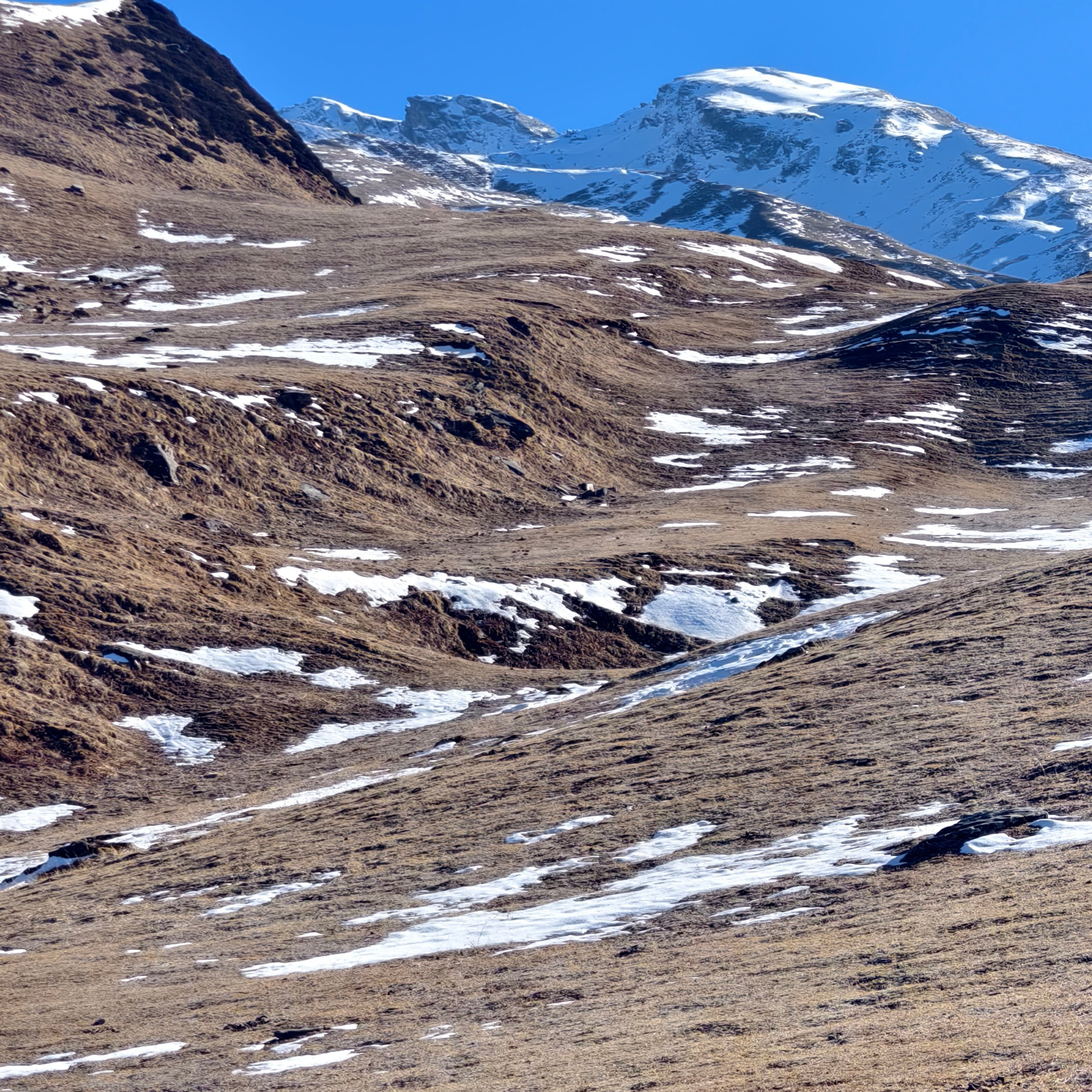 Путешествие в Долину Богов — Манали. Айгуль Лотфуллина. #АйгульТВ. Фотограф в Адлере и Сочи, Красной Поляне