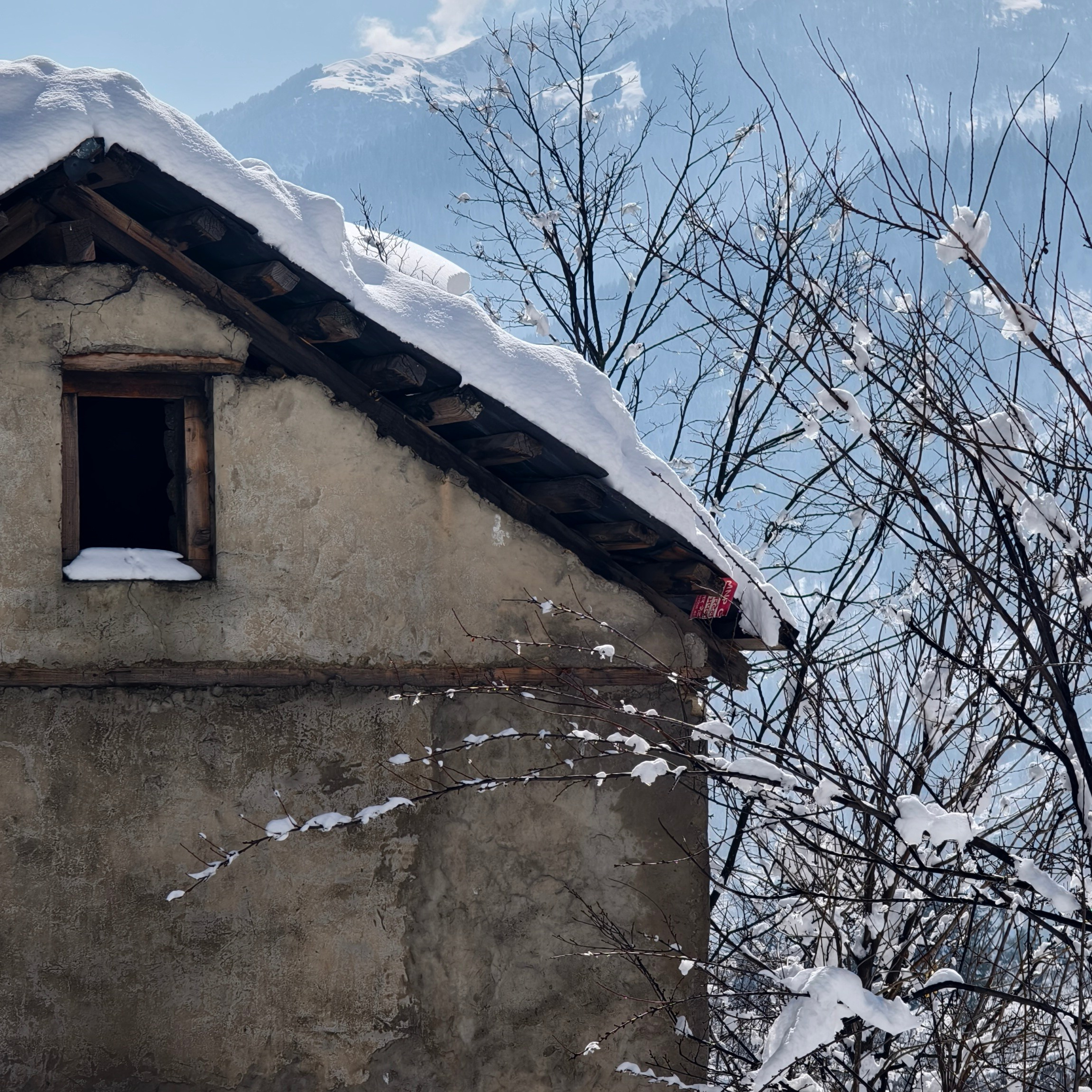 Путешествие в Долину Богов — Манали. Айгуль Лотфуллина. #АйгульТВ. Фотограф в Адлере и Сочи, Красной Поляне