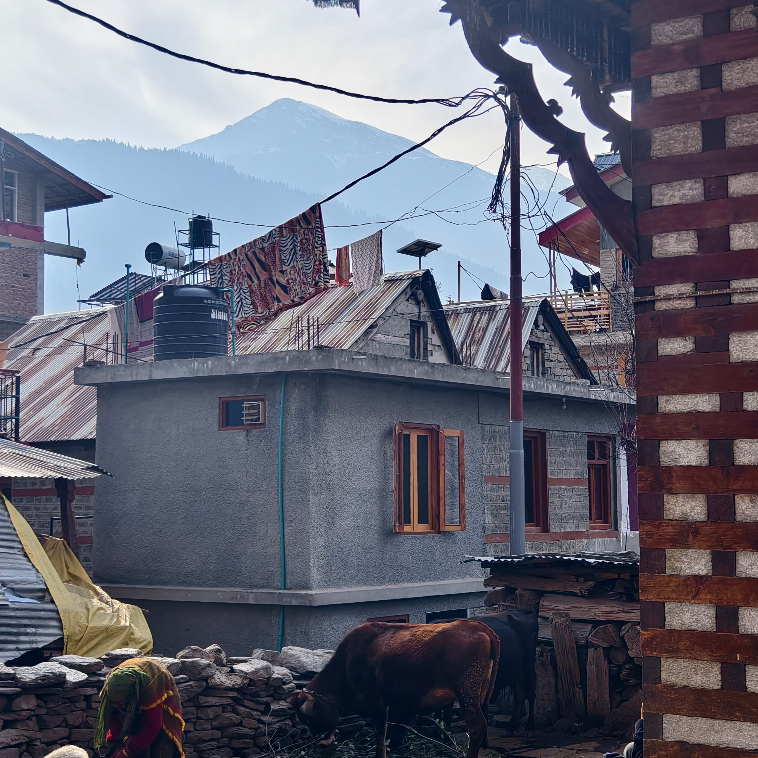 Путешествие в Долину Богов — Манали. Айгуль Лотфуллина. #АйгульТВ. Фотограф в Адлере и Сочи, Красной Поляне