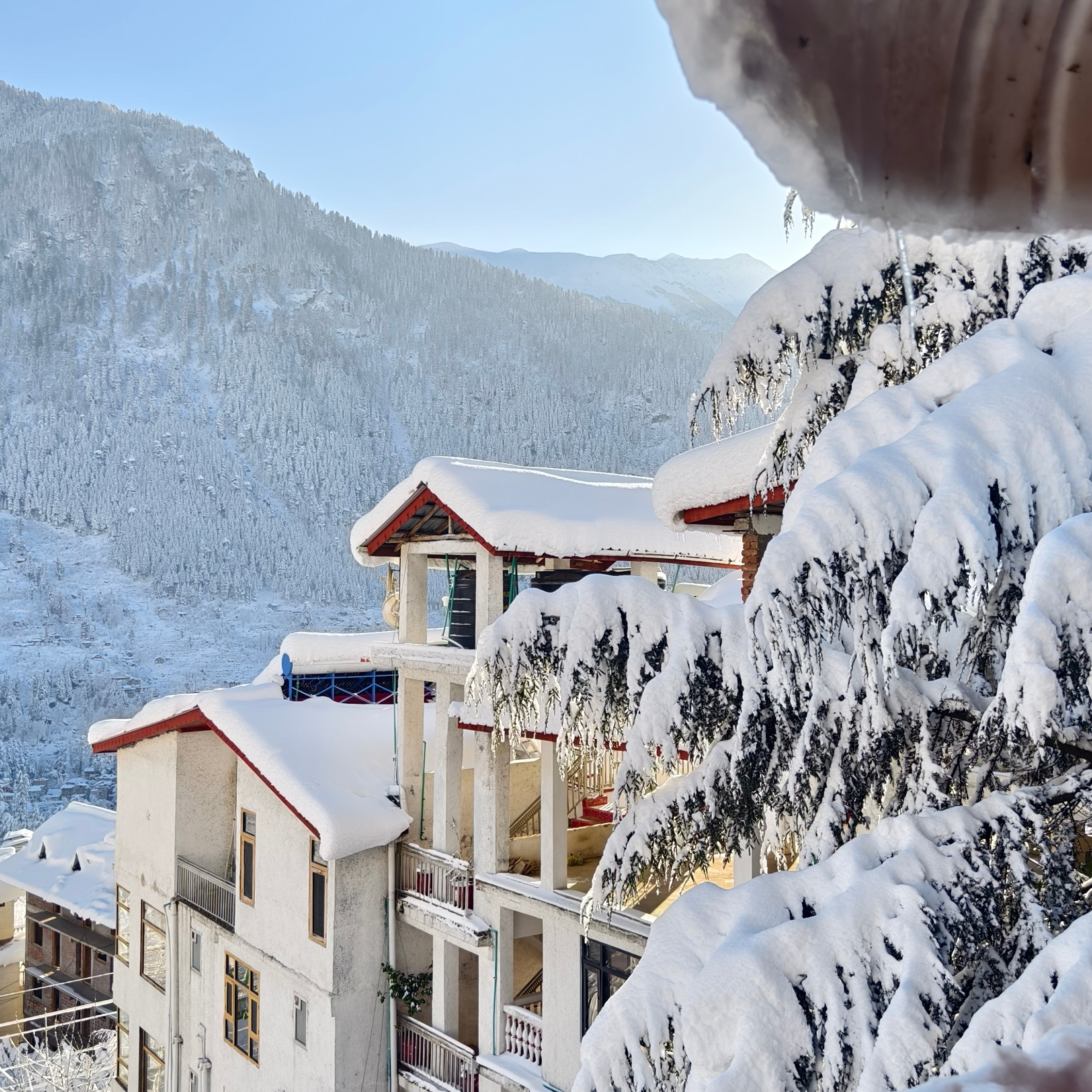 Путешествие в Долину Богов — Манали. Айгуль Лотфуллина. #АйгульТВ. Фотограф в Адлере и Сочи, Красной Поляне