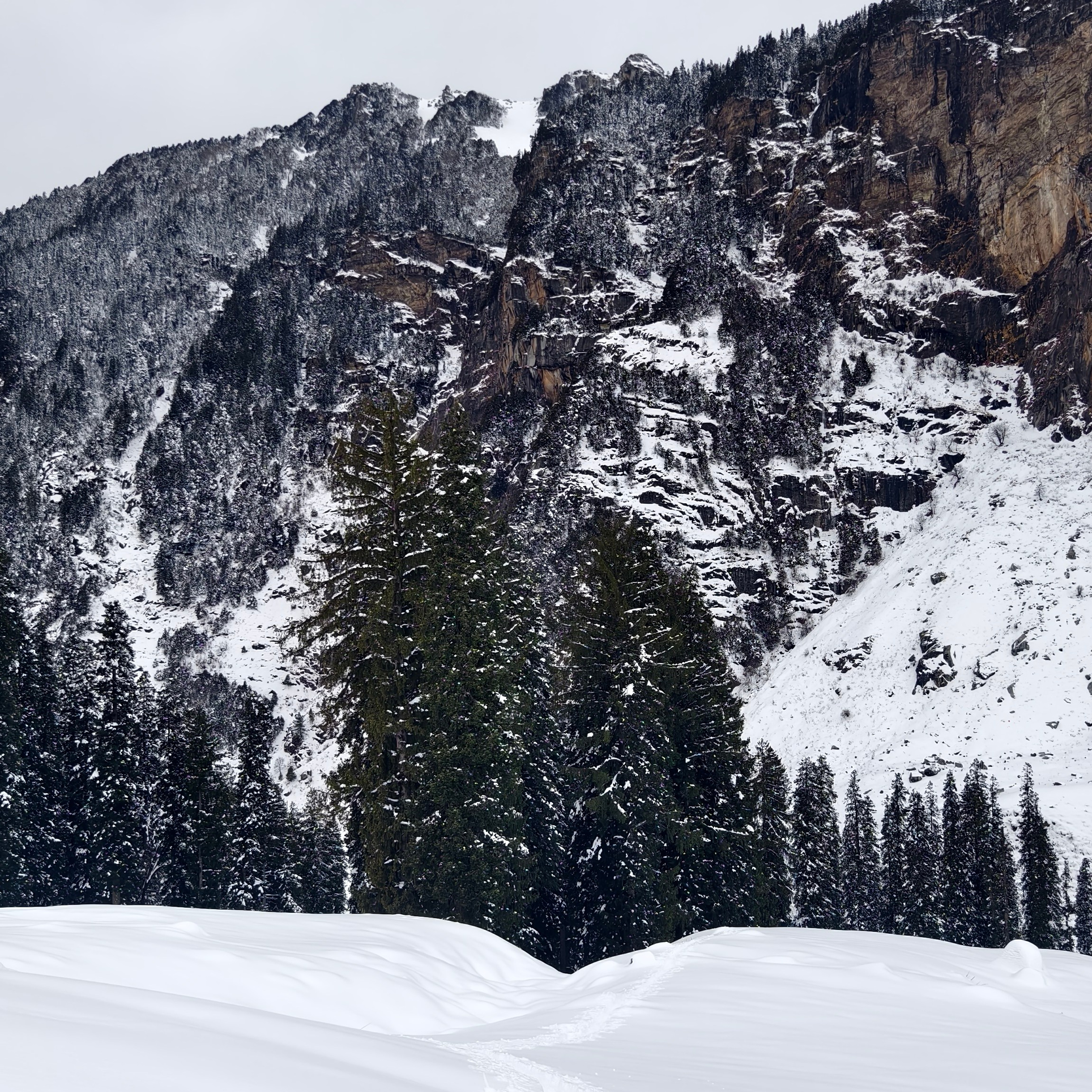 Путешествие в Долину Богов — Манали. Айгуль Лотфуллина. #АйгульТВ. Фотограф в Адлере и Сочи, Красной Поляне