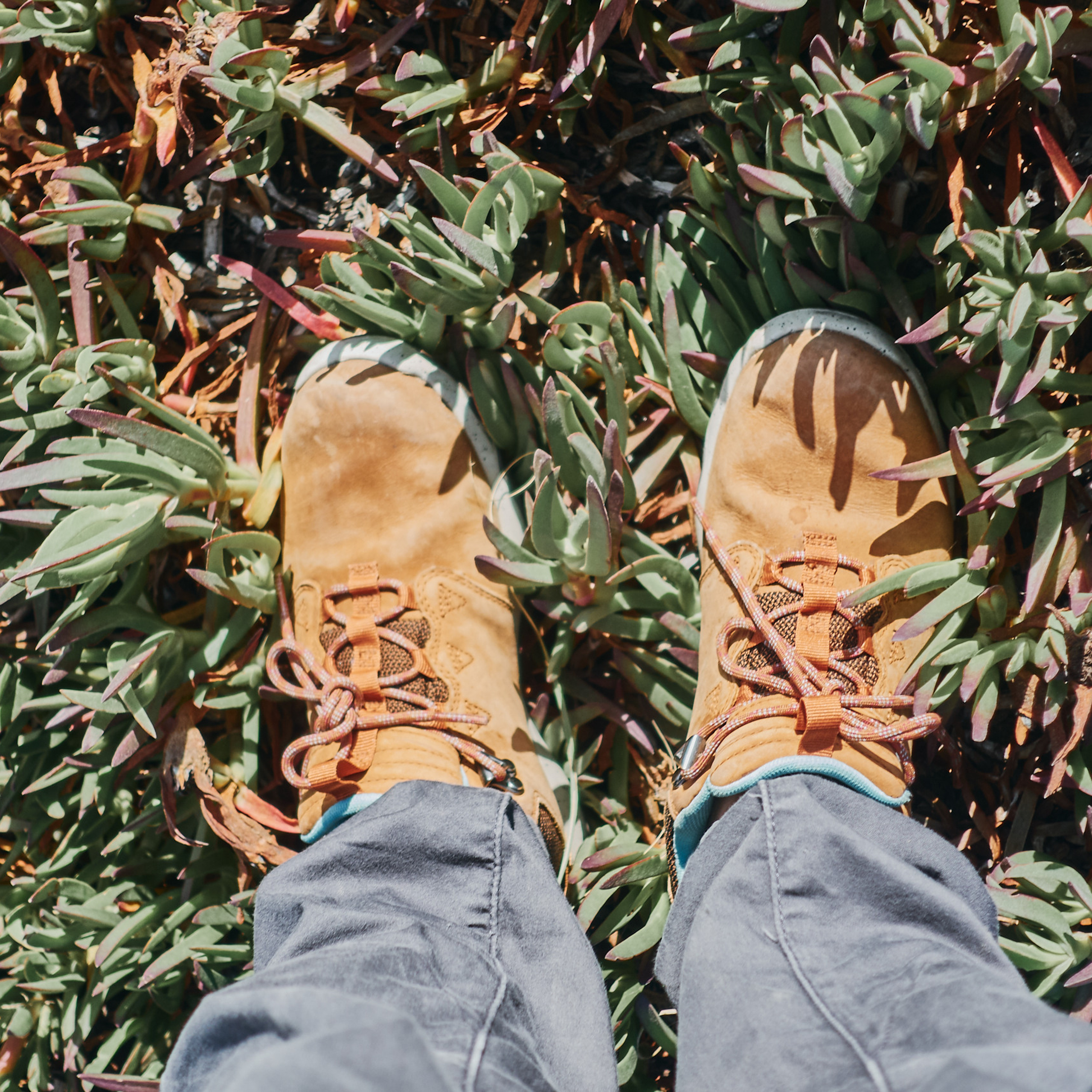 Патагония 2019. Айгуль Лотфуллина. #АйгульТВ. Фотограф в Адлере и Сочи, Красной Поляне