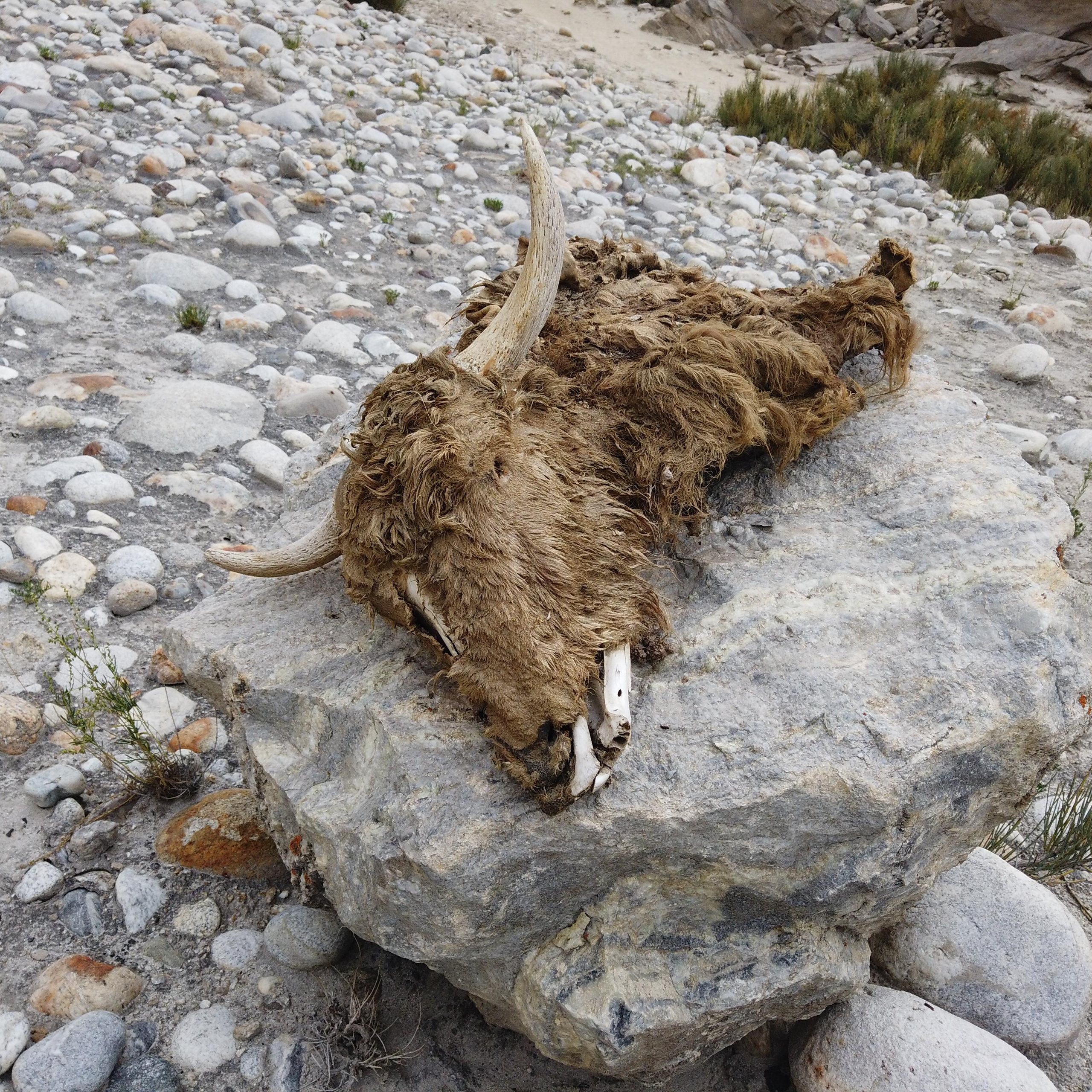 Пакистан 2019, путевые заметки, Лотфуллина Айгуль. Айгуль Лотфуллина. #АйгульТВ. Фотограф в Адлере и Сочи, Красной Поляне