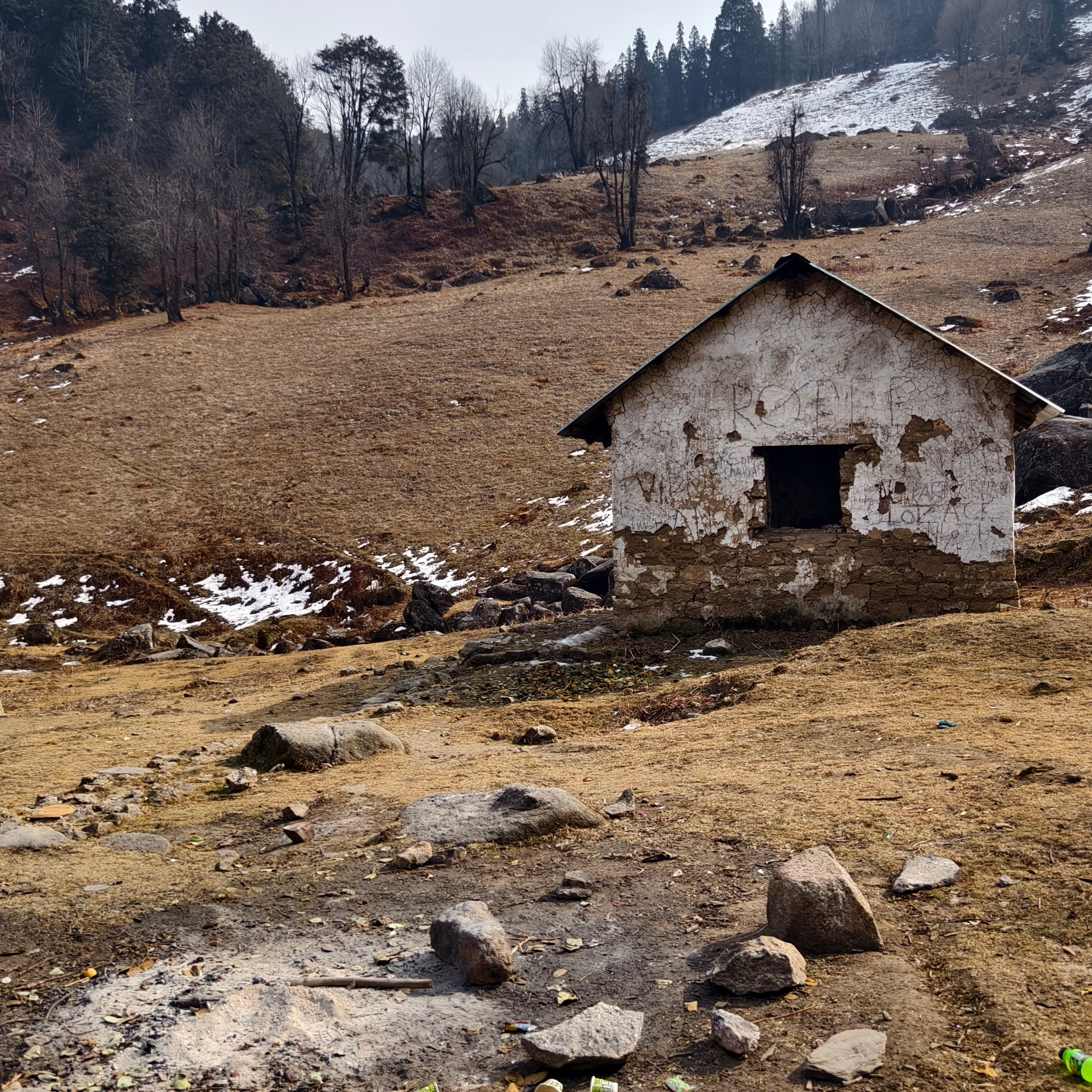 Путешествие в Долину Богов — Манали. Айгуль Лотфуллина. #АйгульТВ. Фотограф в Адлере и Сочи, Красной Поляне