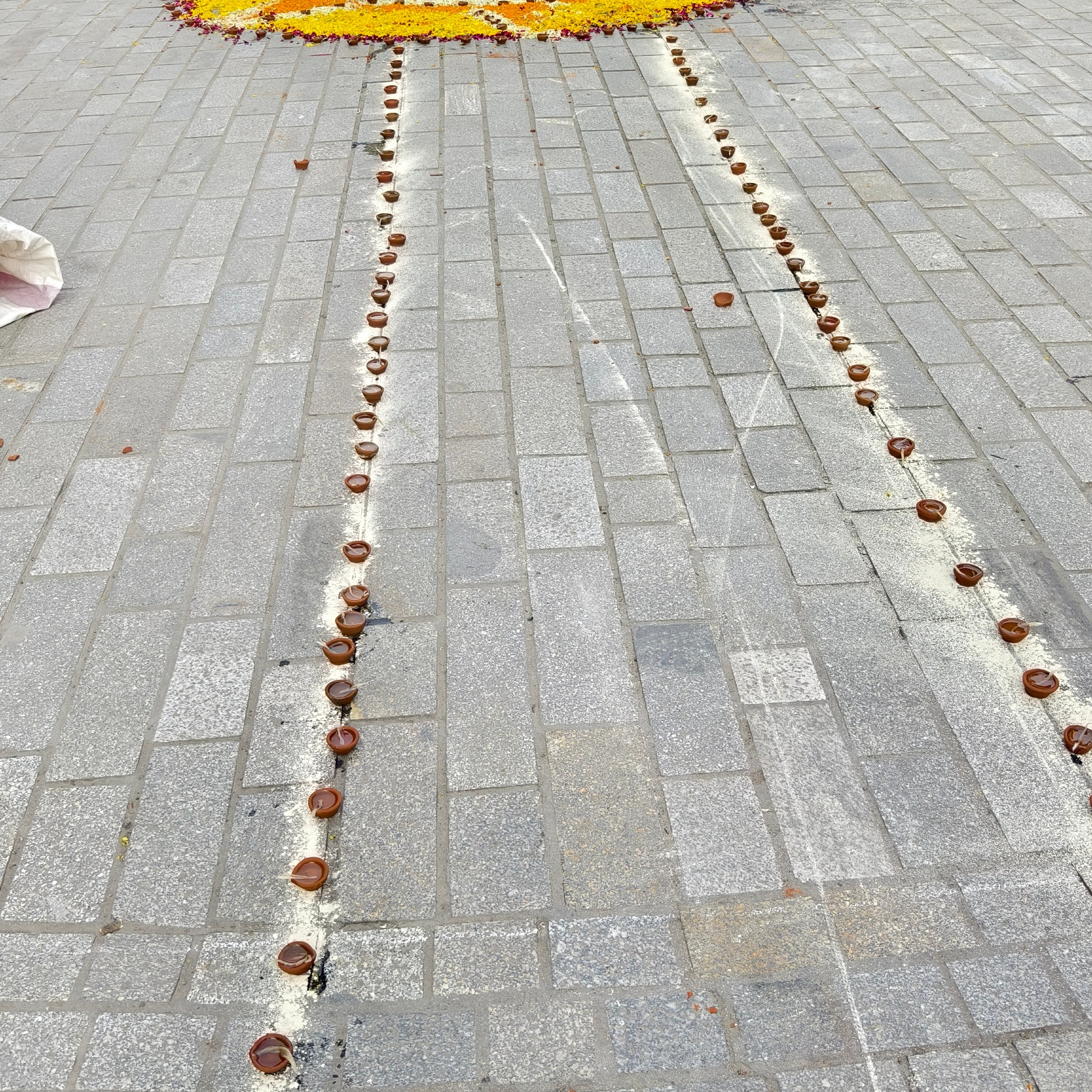 Путешествие в Долину Богов — Манали. Айгуль Лотфуллина. #АйгульТВ. Фотограф в Адлере и Сочи, Красной Поляне