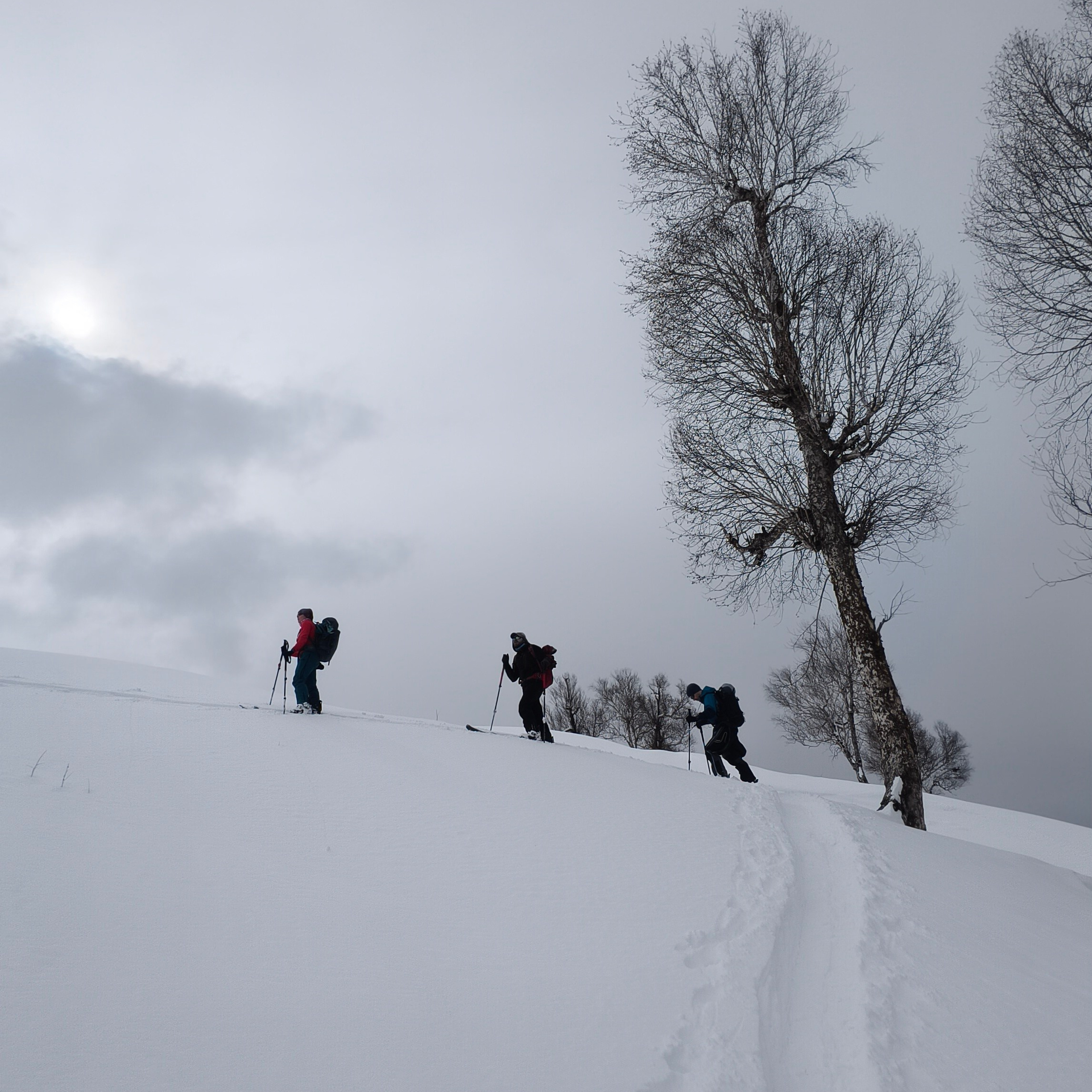 Путешествие в Долину Богов — Манали. Айгуль Лотфуллина. #АйгульТВ. Фотограф в Адлере и Сочи, Красной Поляне