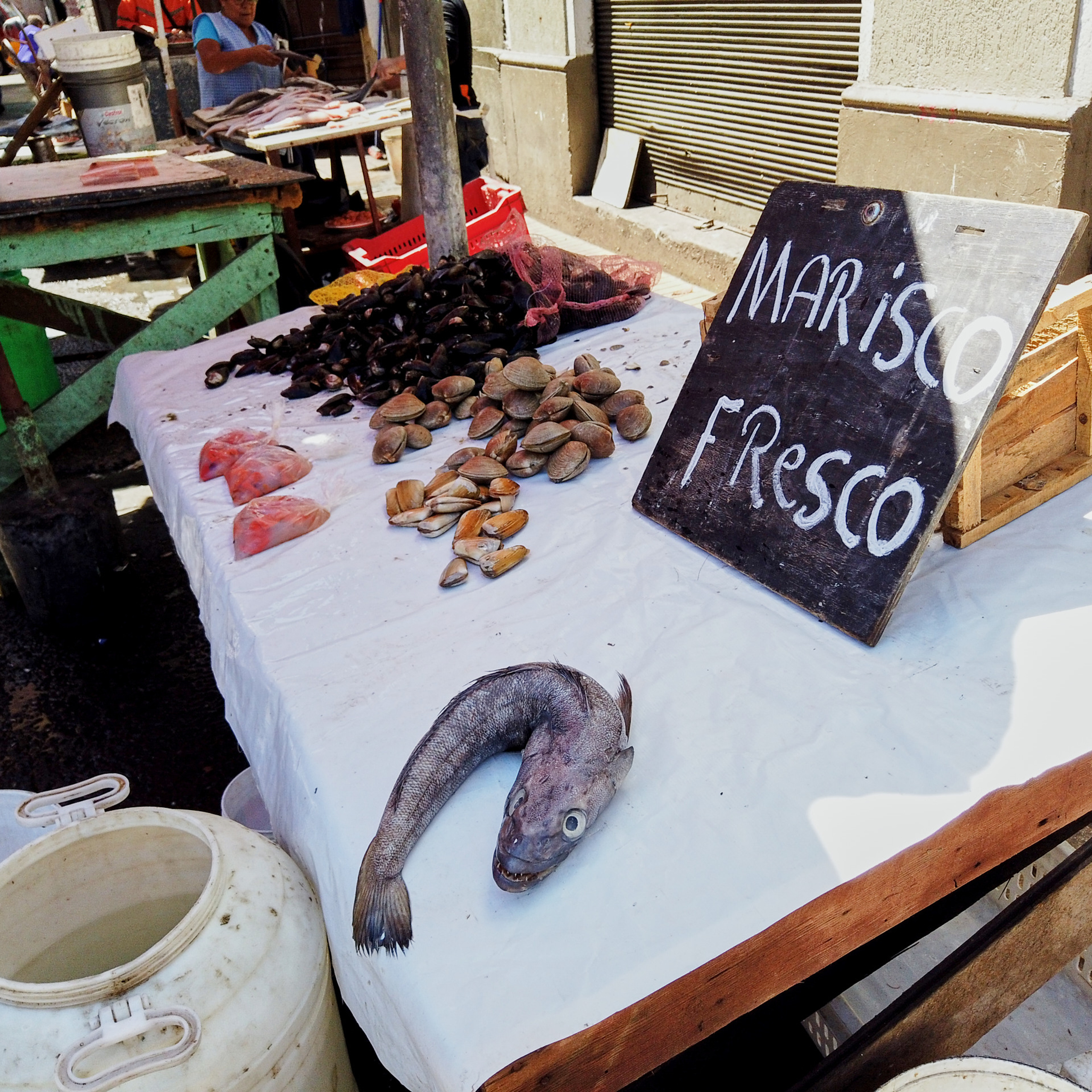 Патагония 2019. Айгуль Лотфуллина. #АйгульТВ. Фотограф в Адлере и Сочи, Красной Поляне