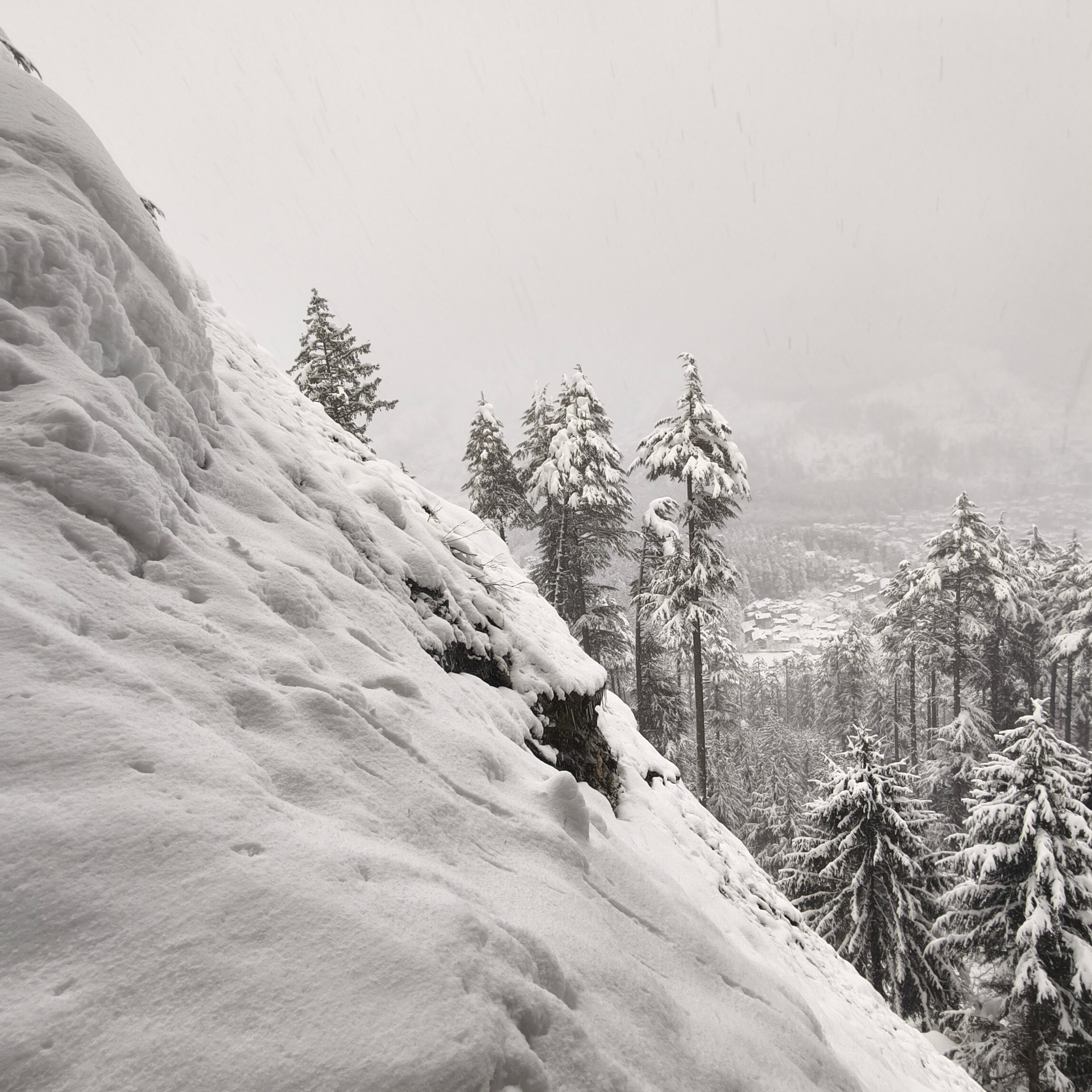 Путешествие в Долину Богов — Манали. Айгуль Лотфуллина. #АйгульТВ. Фотограф в Адлере и Сочи, Красной Поляне