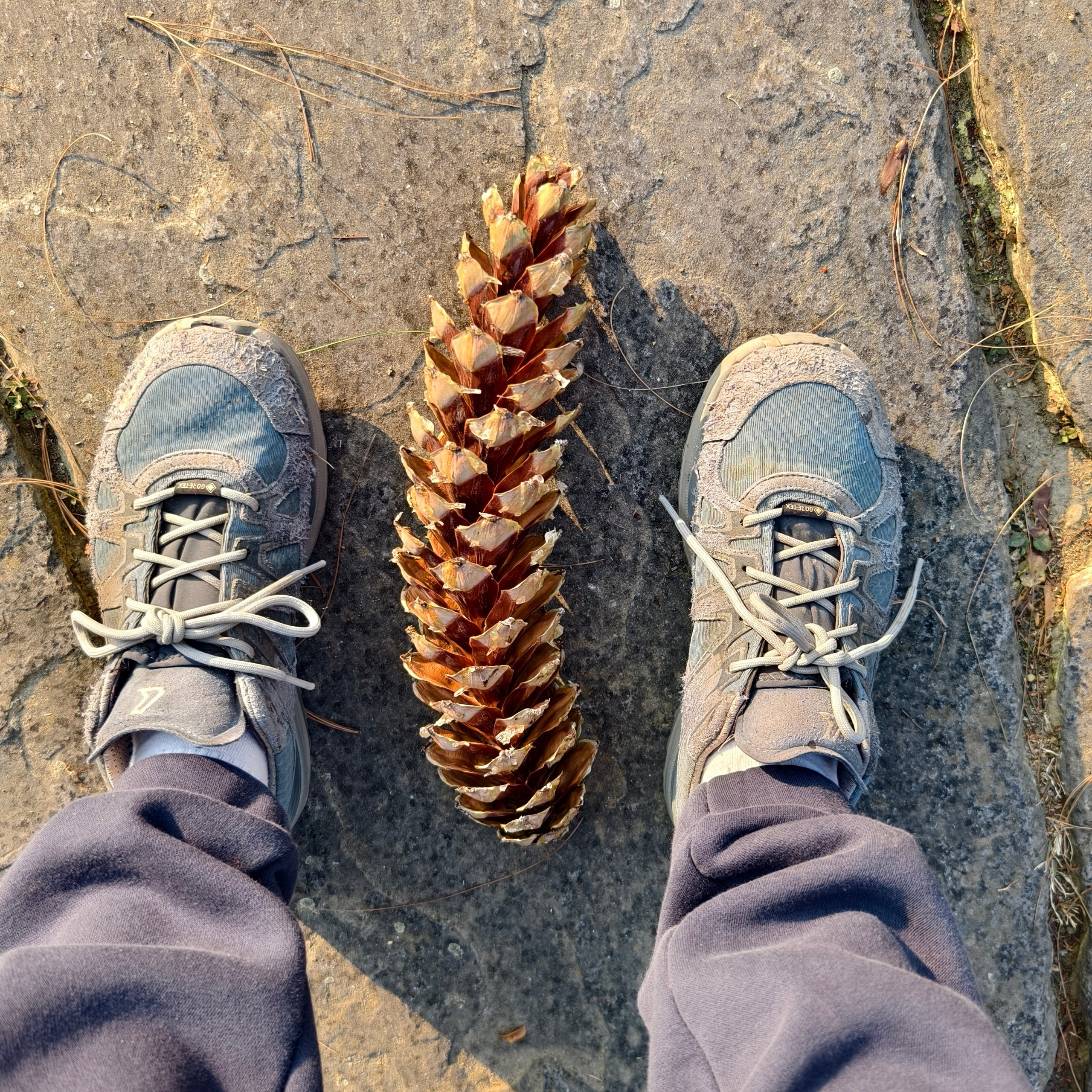 Путешествие в Долину Богов — Манали. Айгуль Лотфуллина. #АйгульТВ. Фотограф в Адлере и Сочи, Красной Поляне