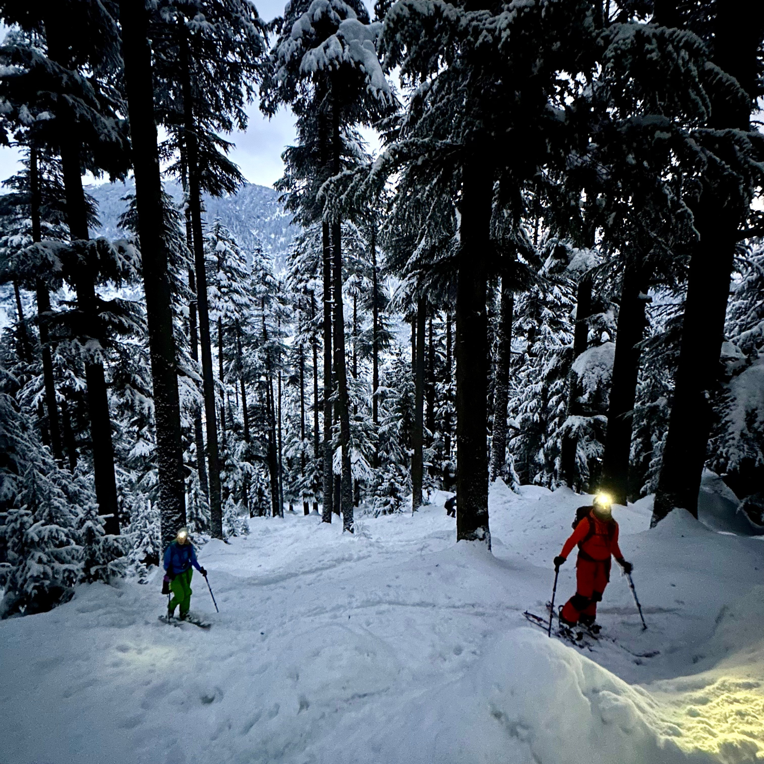 Путешествие в Долину Богов — Манали. Айгуль Лотфуллина. #АйгульТВ. Фотограф в Адлере и Сочи, Красной Поляне