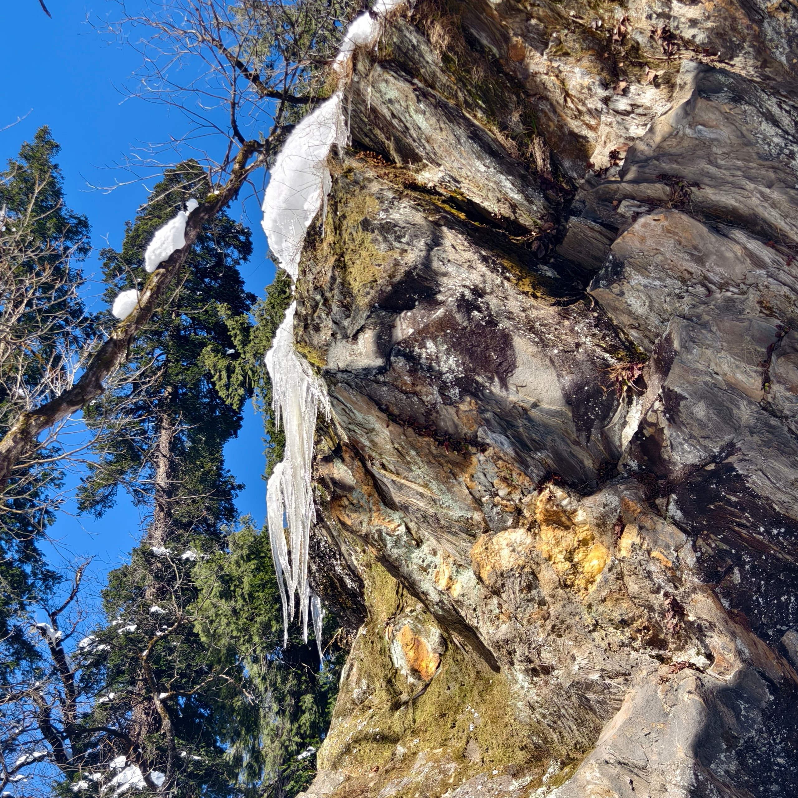Путешествие в Долину Богов — Манали. Айгуль Лотфуллина. #АйгульТВ. Фотограф в Адлере и Сочи, Красной Поляне