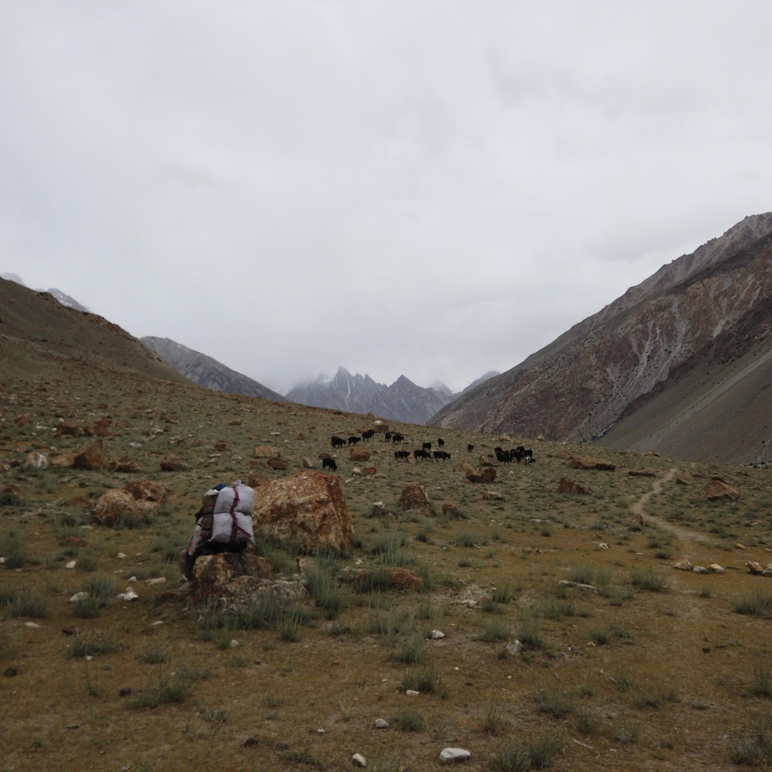 Пакистан 2019, путевые заметки, Лотфуллина Айгуль. Айгуль Лотфуллина. #АйгульТВ. Фотограф в Адлере и Сочи, Красной Поляне