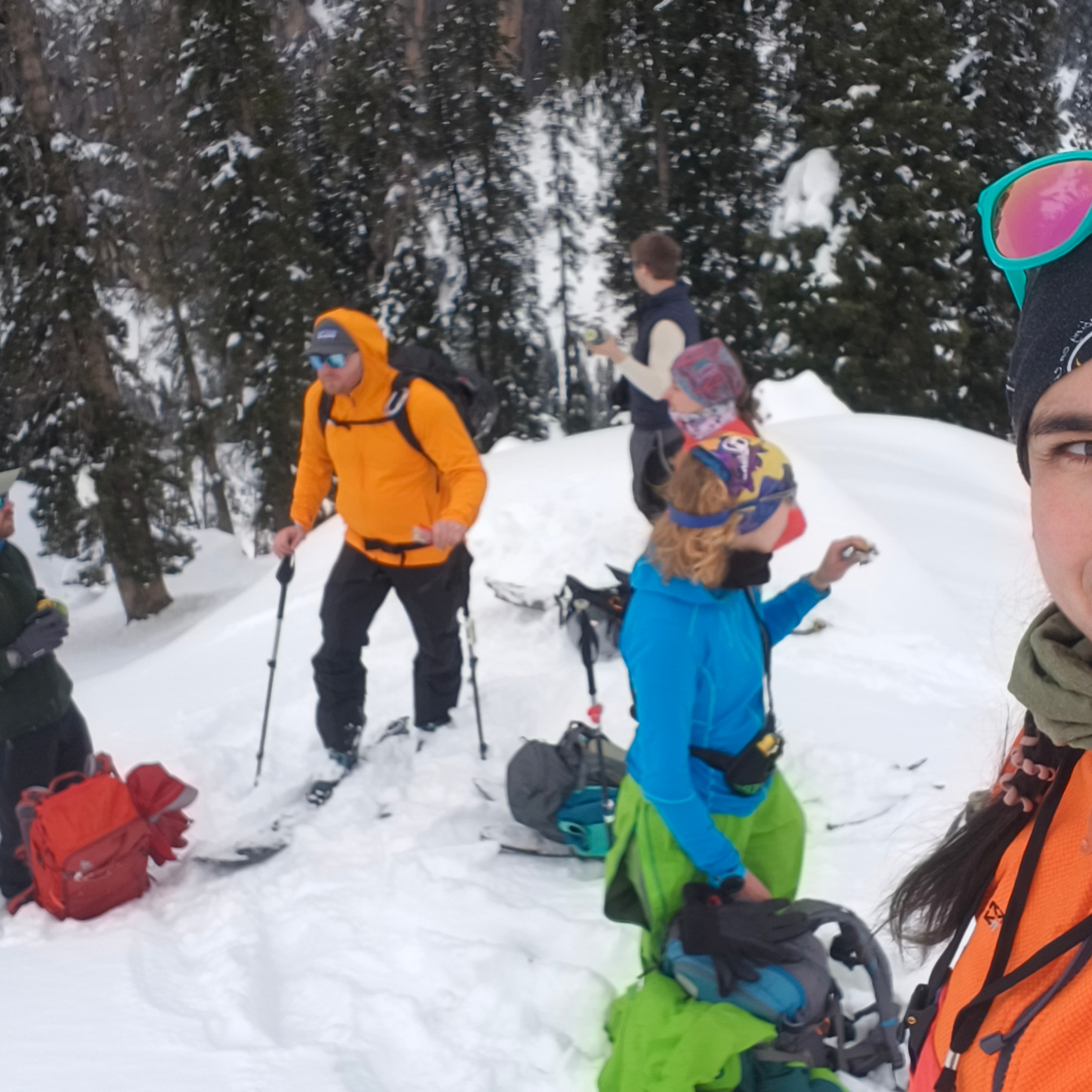 Путешествие в Долину Богов — Манали. Айгуль Лотфуллина. #АйгульТВ. Фотограф в Адлере и Сочи, Красной Поляне