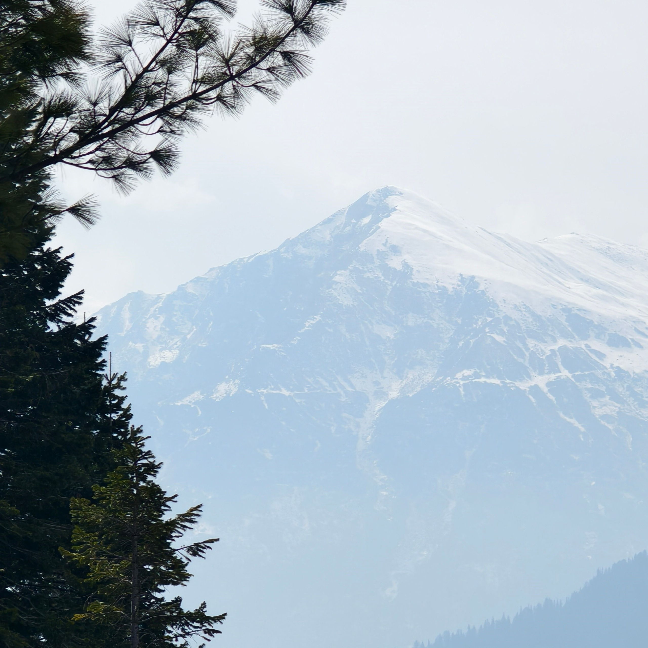 Путешествие в Долину Богов — Манали. Айгуль Лотфуллина. #АйгульТВ. Фотограф в Адлере и Сочи, Красной Поляне