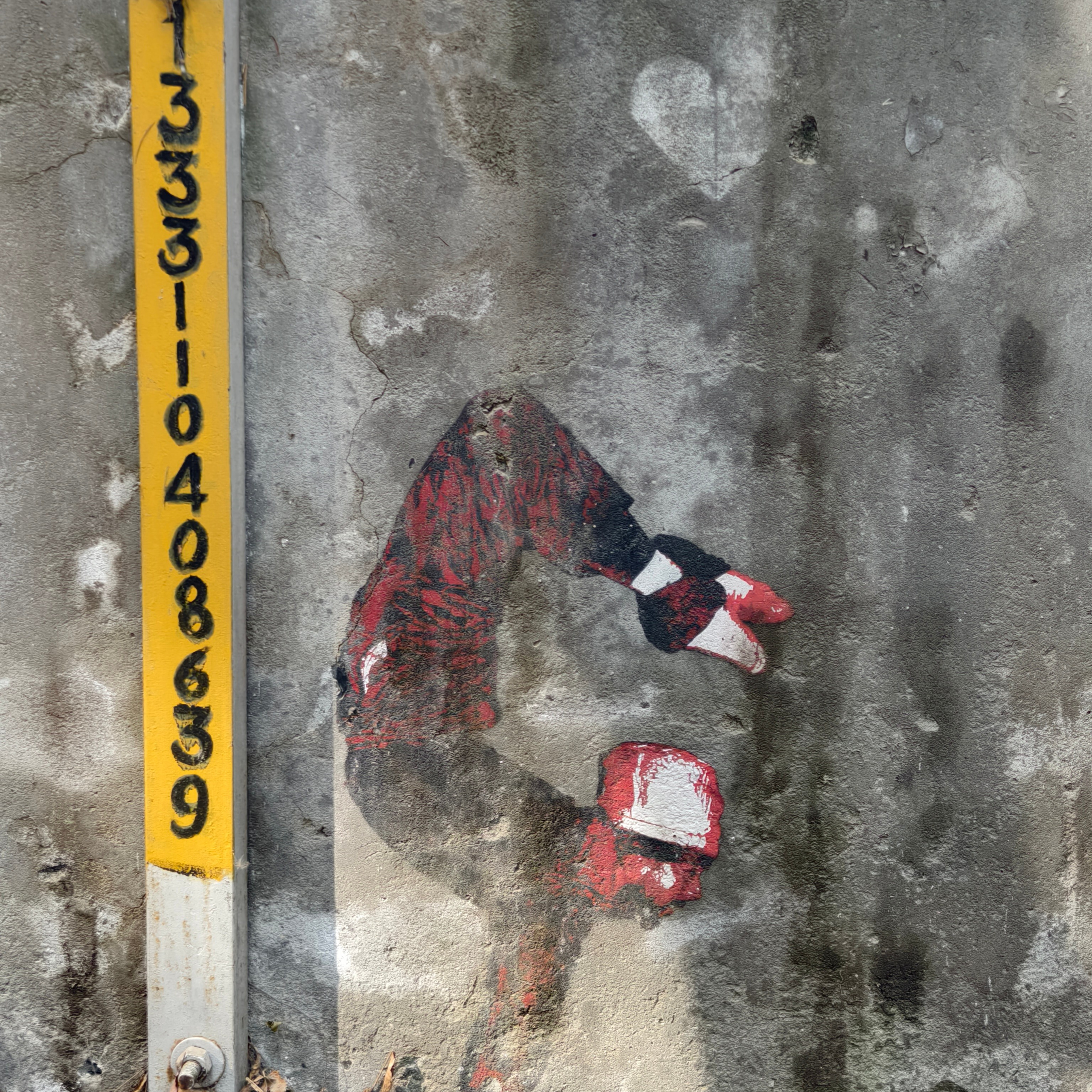 Путешествие в Долину Богов — Манали. Айгуль Лотфуллина. #АйгульТВ. Фотограф в Адлере и Сочи, Красной Поляне