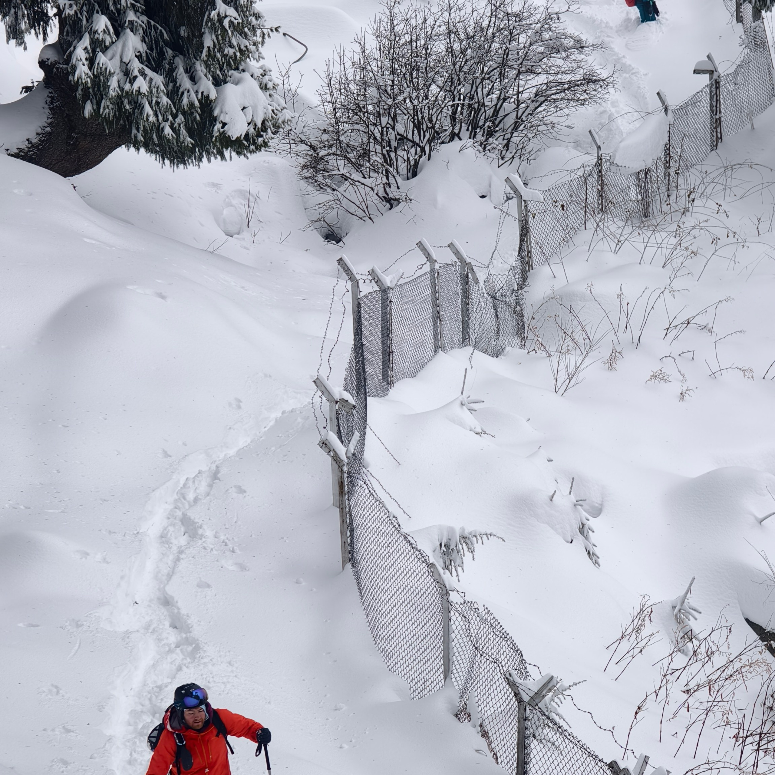 Путешествие в Долину Богов — Манали. Айгуль Лотфуллина. #АйгульТВ. Фотограф в Адлере и Сочи, Красной Поляне