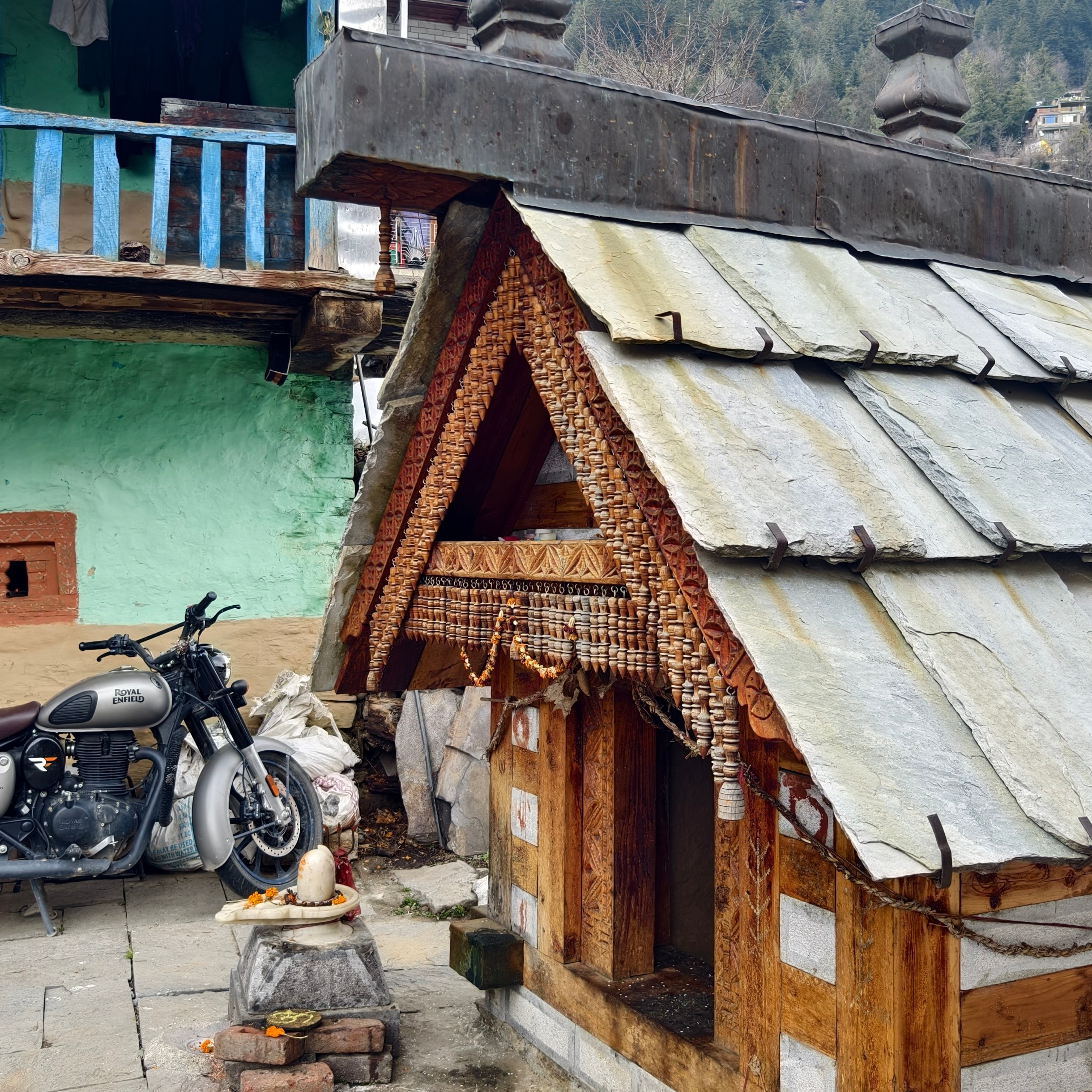 Путешествие в Долину Богов — Манали. Айгуль Лотфуллина. #АйгульТВ. Фотограф в Адлере и Сочи, Красной Поляне