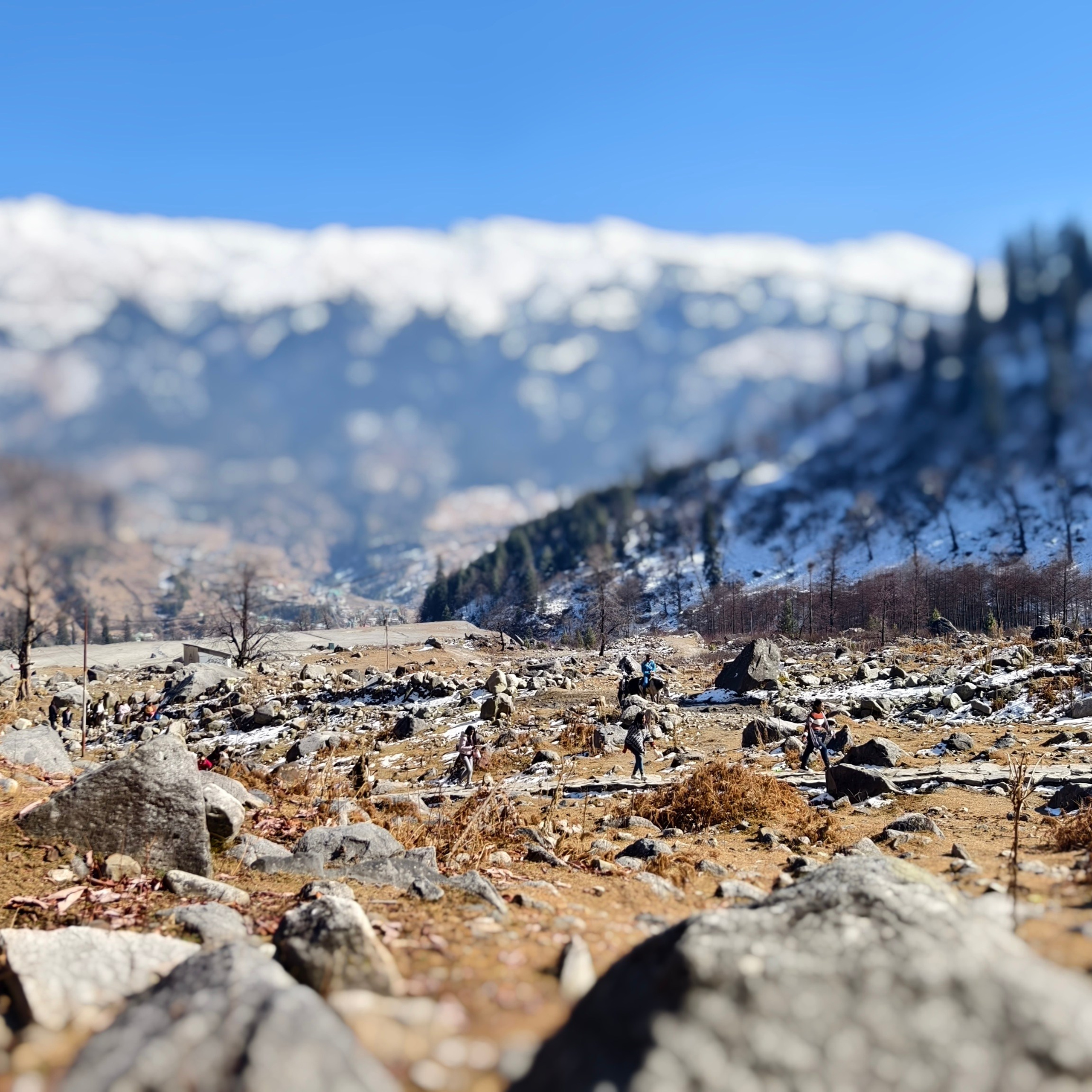 Путешествие в Долину Богов — Манали. Айгуль Лотфуллина. #АйгульТВ. Фотограф в Адлере и Сочи, Красной Поляне