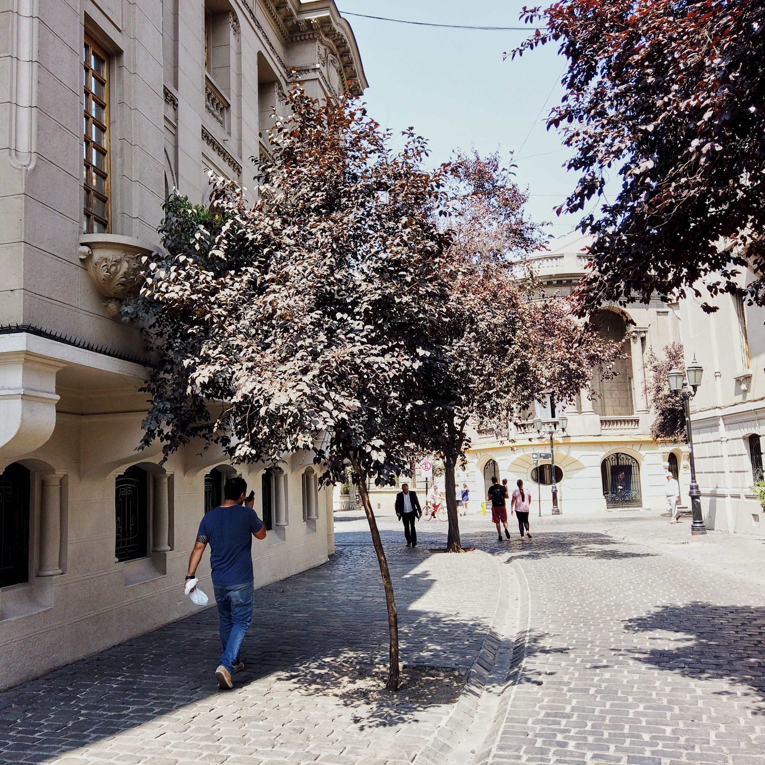 Патагония 2019. Айгуль Лотфуллина. #АйгульТВ. Фотограф в Адлере и Сочи, Красной Поляне