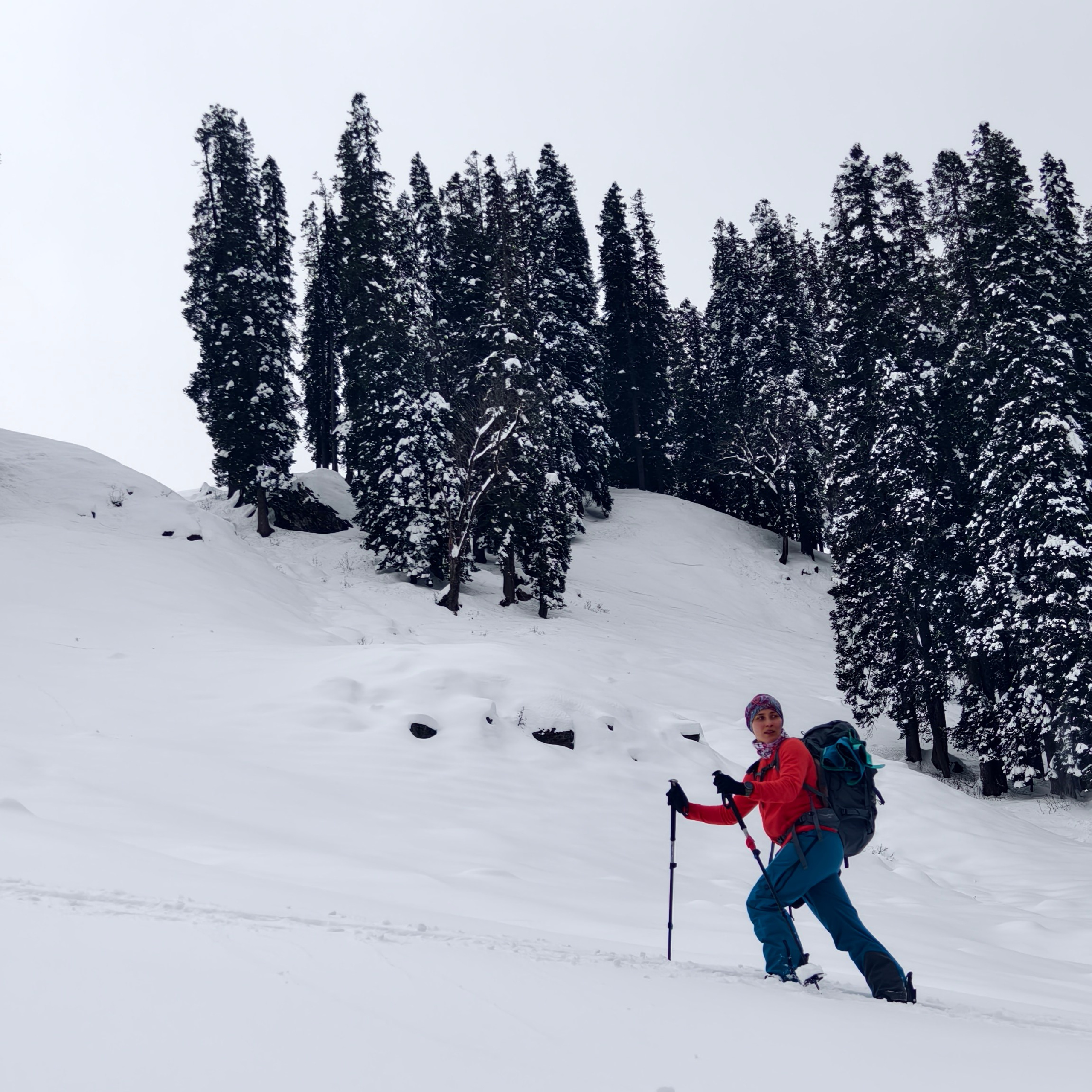 Путешествие в Долину Богов — Манали. Айгуль Лотфуллина. #АйгульТВ. Фотограф в Адлере и Сочи, Красной Поляне