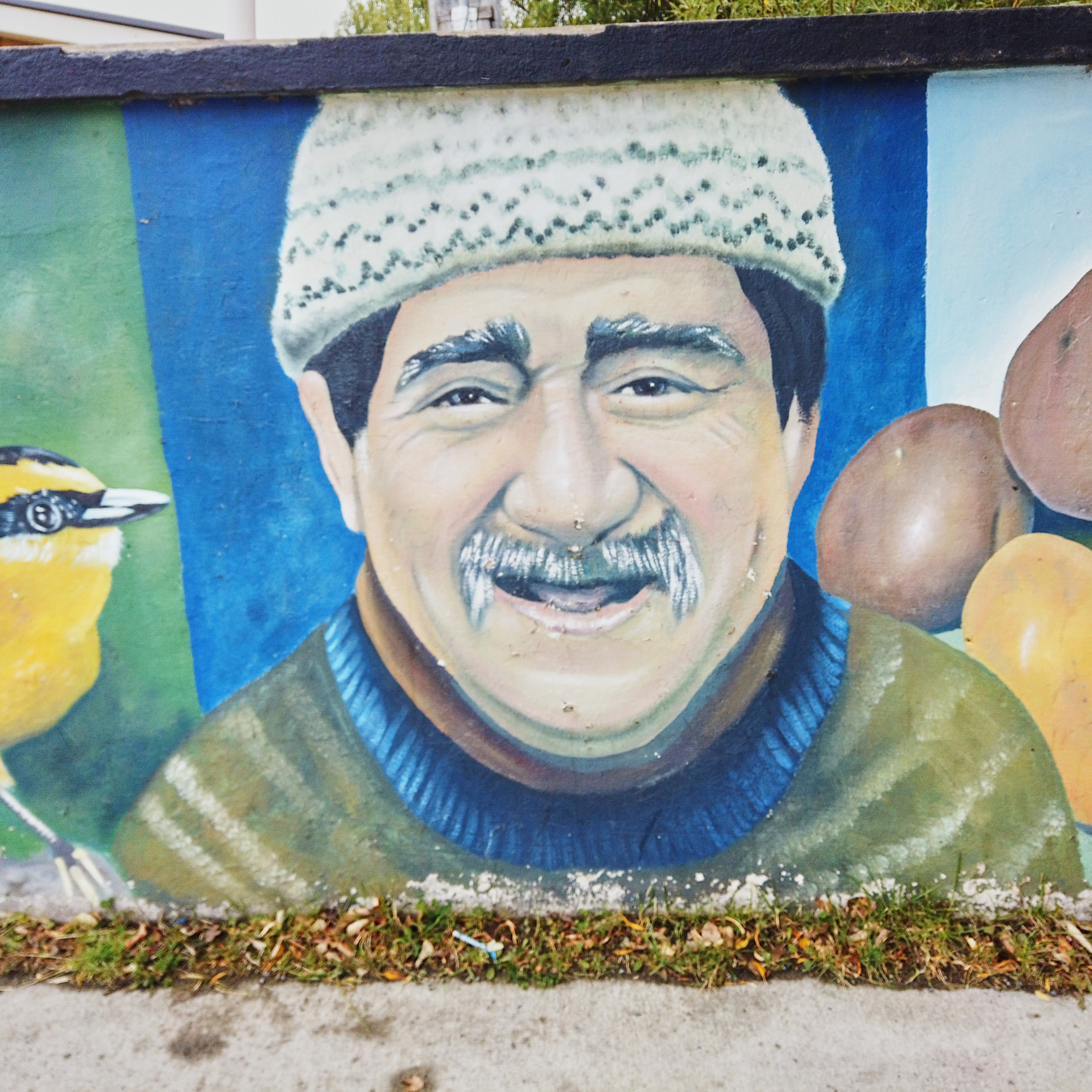 Патагония 2019. Айгуль Лотфуллина. #АйгульТВ. Фотограф в Адлере и Сочи, Красной Поляне