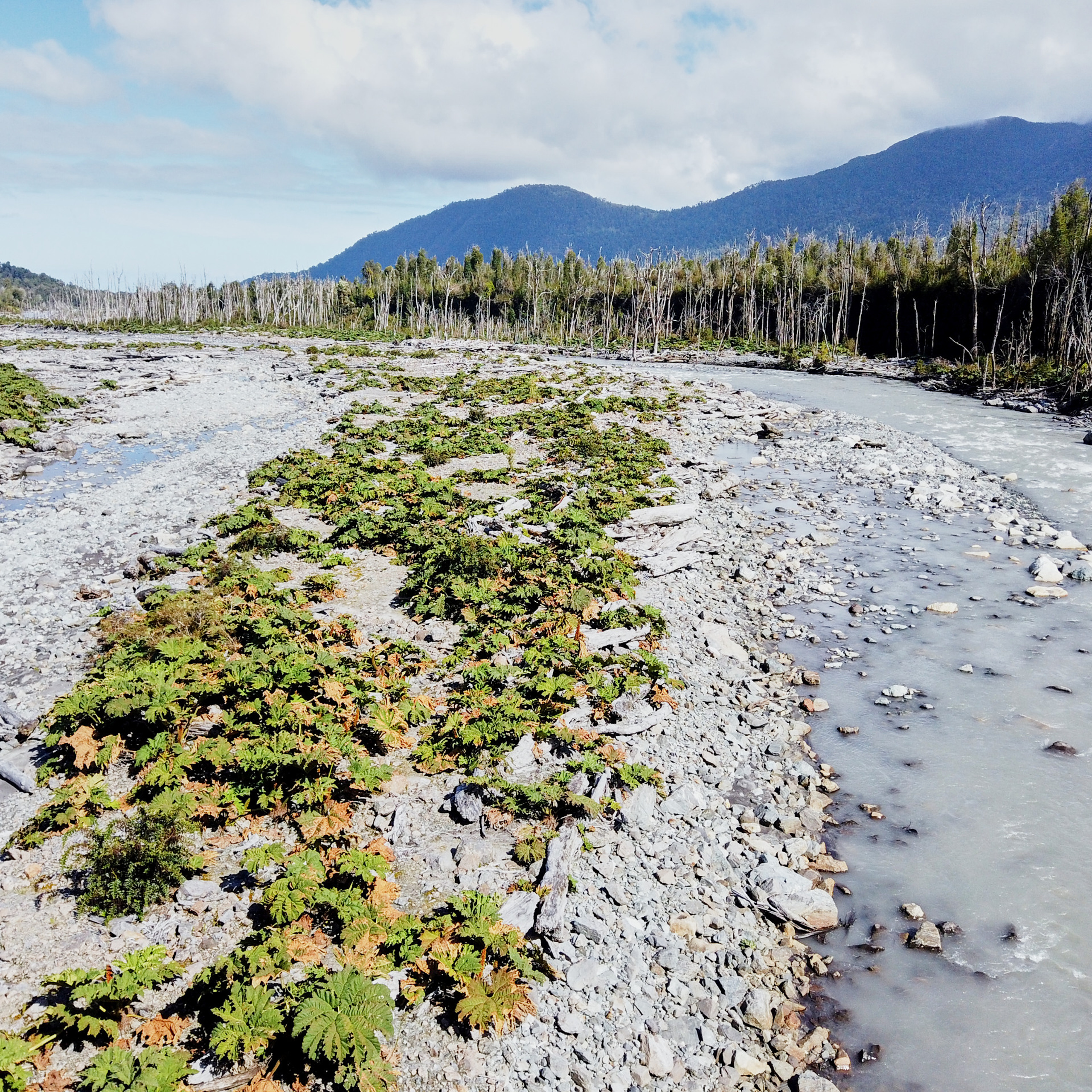 Патагония 2019. Айгуль Лотфуллина. #АйгульТВ. Фотограф в Адлере и Сочи, Красной Поляне