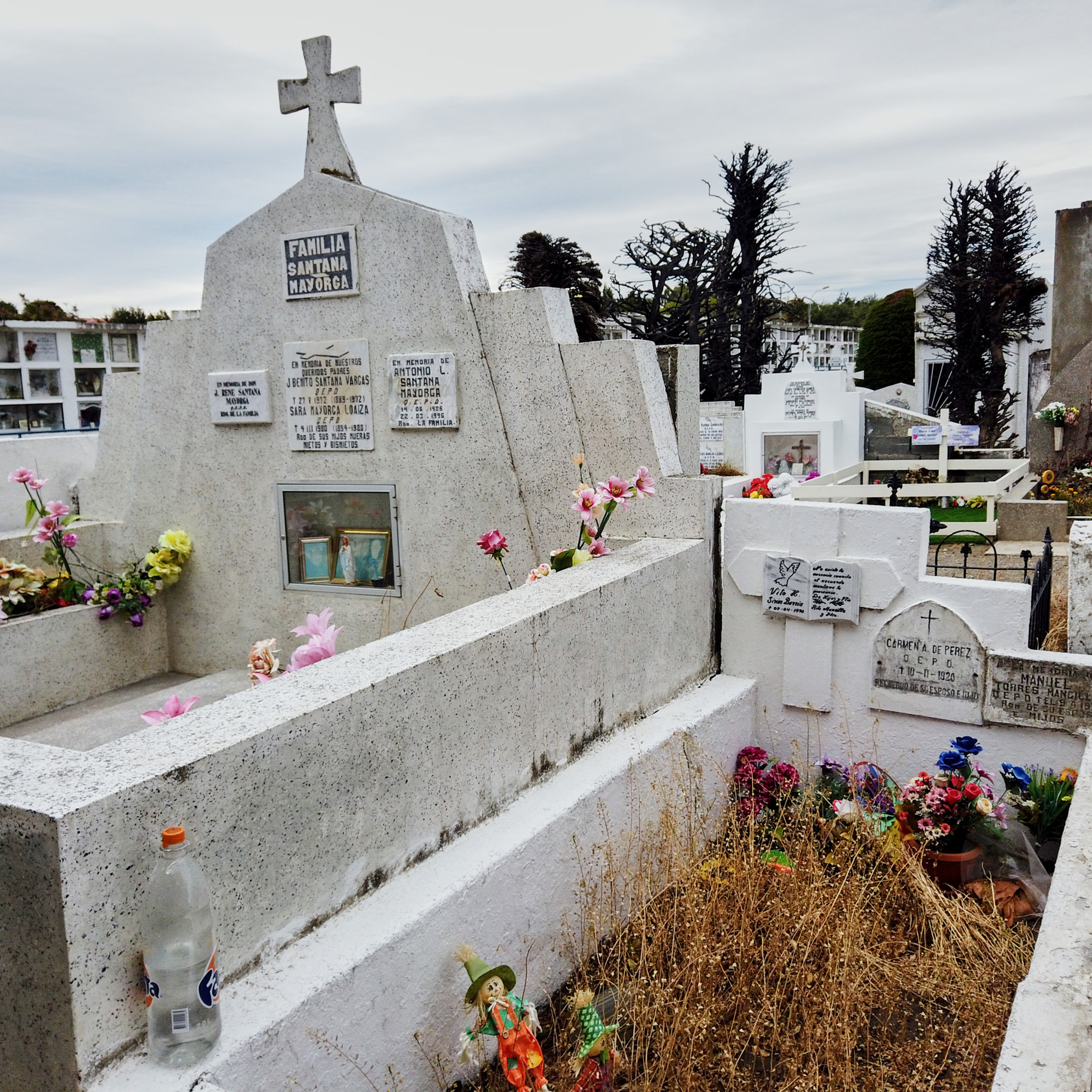 Патагония 2019. Айгуль Лотфуллина. #АйгульТВ. Фотограф в Адлере и Сочи, Красной Поляне