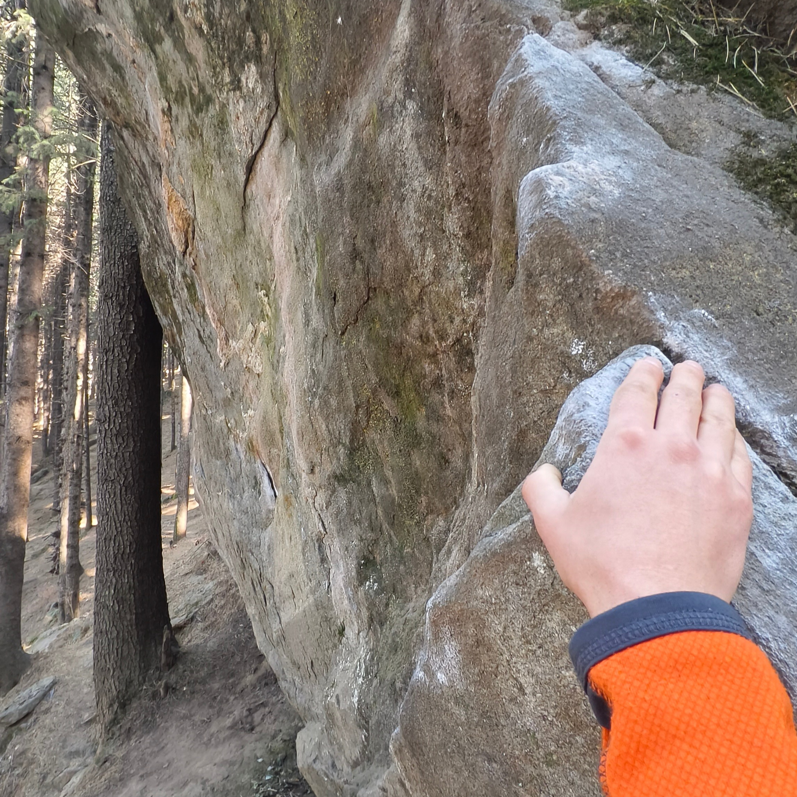 Путешествие в Долину Богов — Манали. Айгуль Лотфуллина. #АйгульТВ. Фотограф в Адлере и Сочи, Красной Поляне