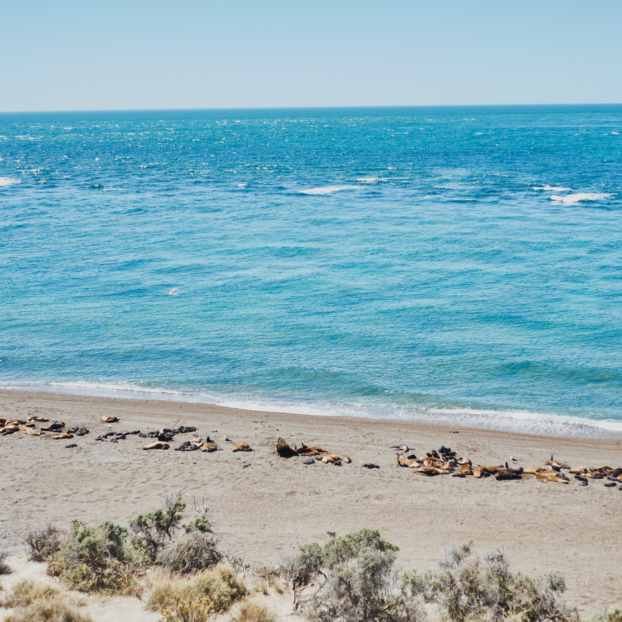 Патагония 2019. Айгуль Лотфуллина. #АйгульТВ. Фотограф в Адлере и Сочи, Красной Поляне