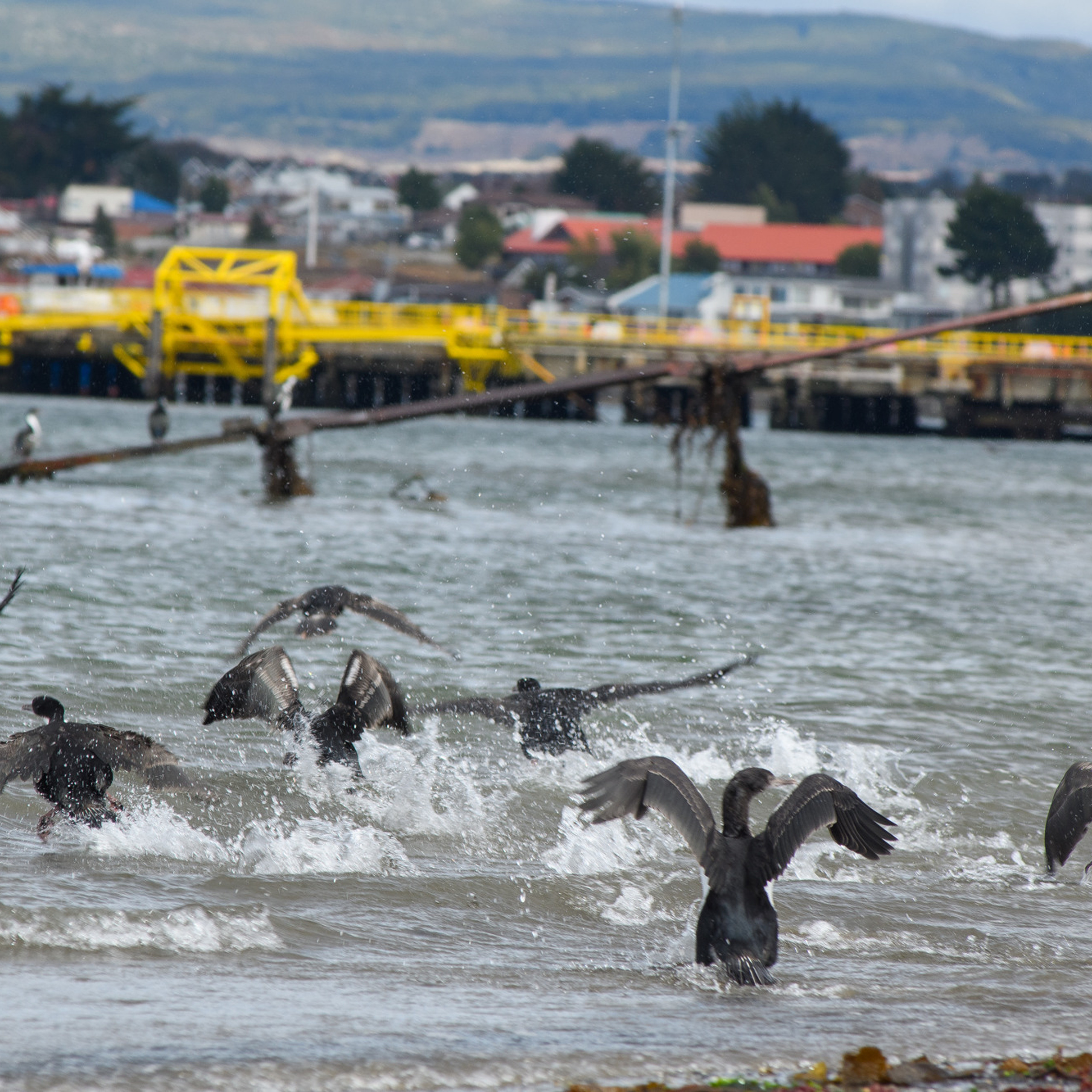 Патагония 2019. Айгуль Лотфуллина. #АйгульТВ. Фотограф в Адлере и Сочи, Красной Поляне