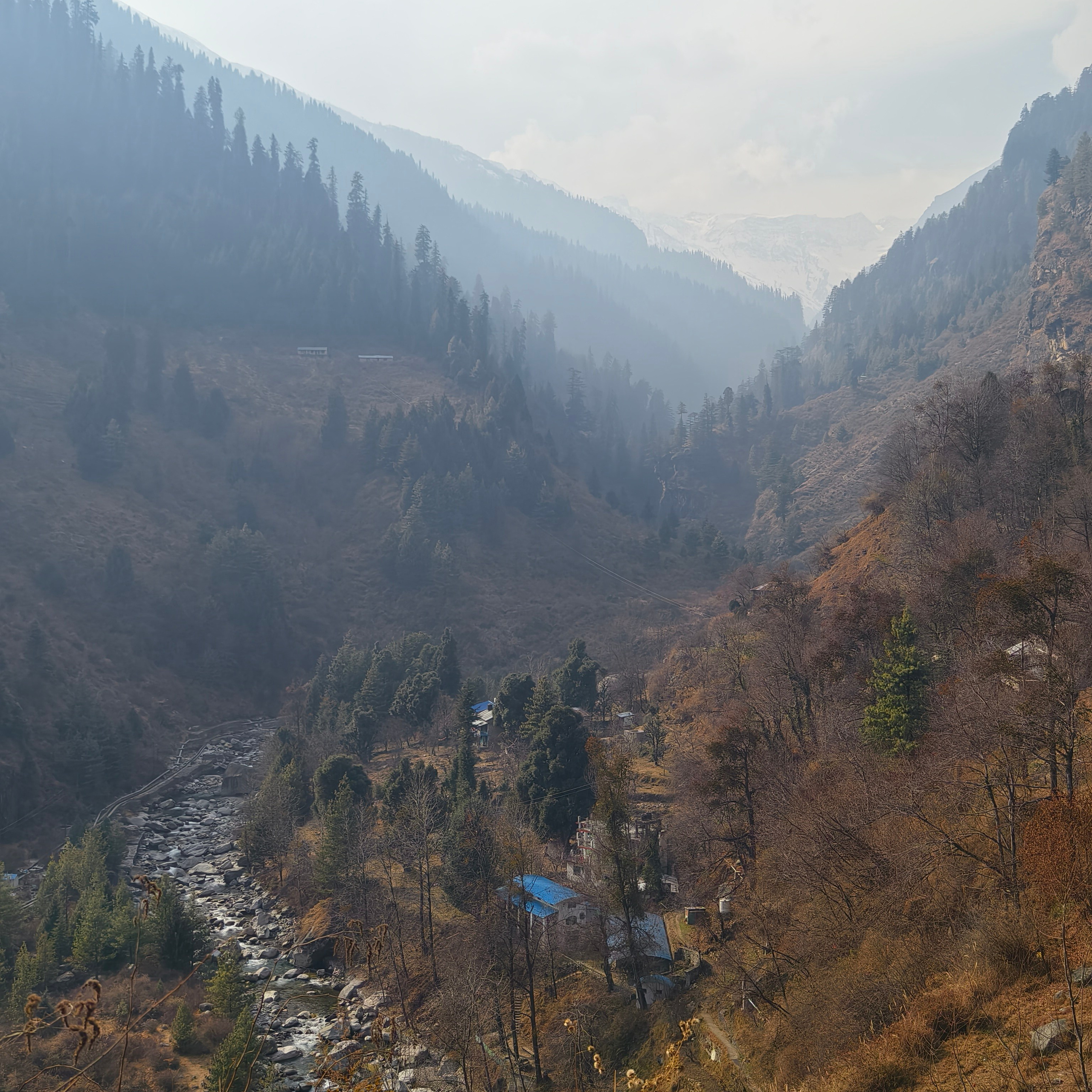 Путешествие в Долину Богов — Манали. Айгуль Лотфуллина. #АйгульТВ. Фотограф в Адлере и Сочи, Красной Поляне