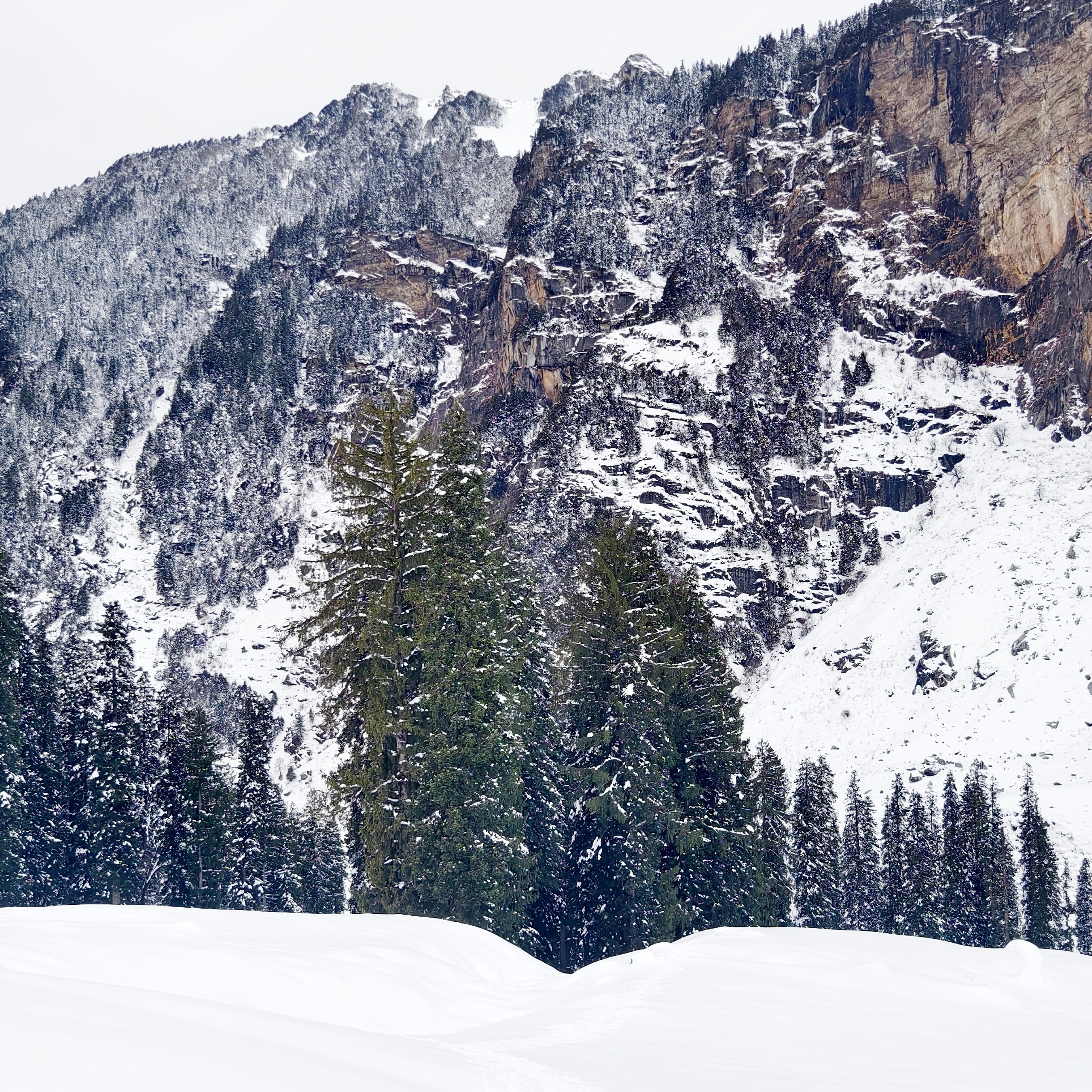 Путешествие в Долину Богов — Манали. Айгуль Лотфуллина. #АйгульТВ. Фотограф в Адлере и Сочи, Красной Поляне