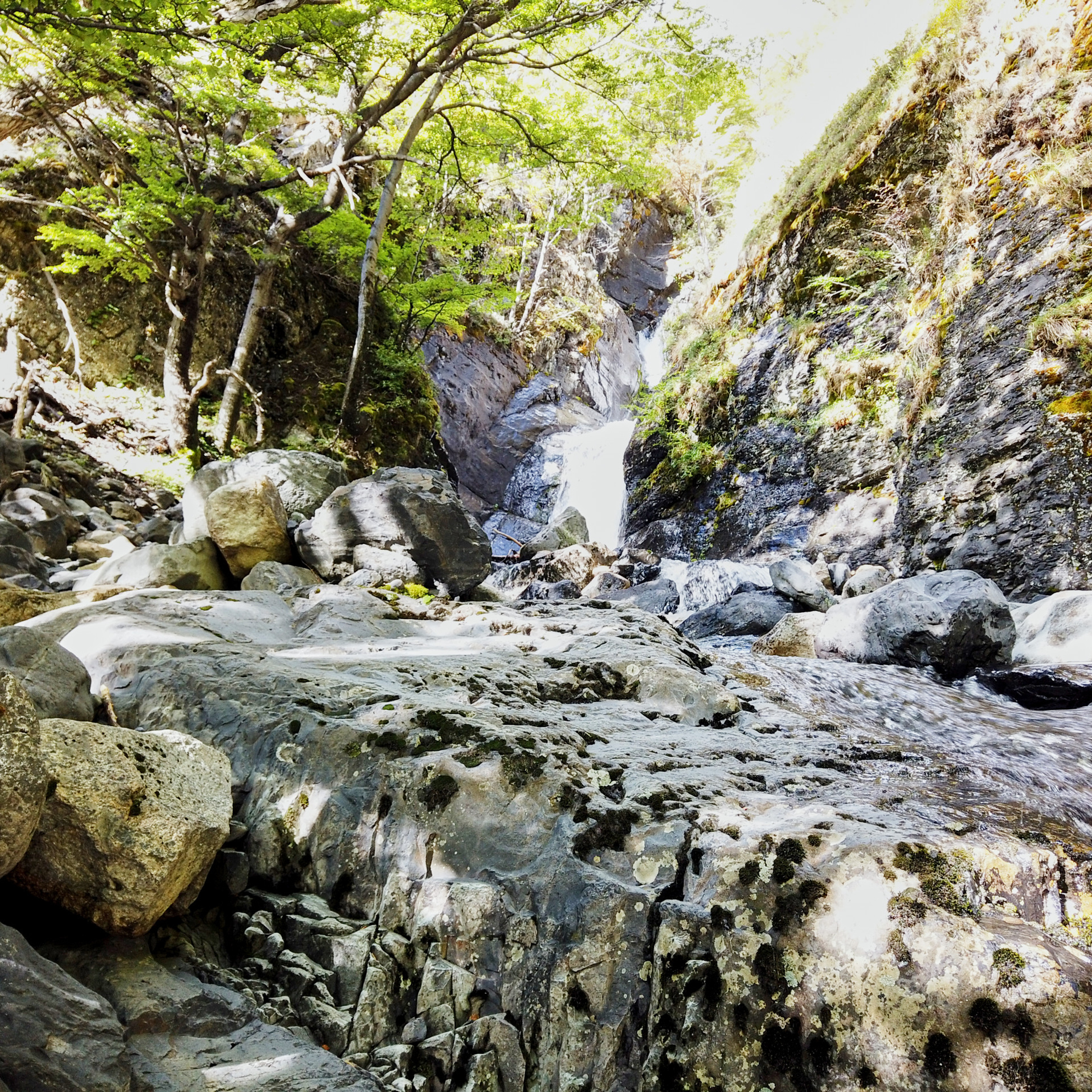 Патагония 2019. Айгуль Лотфуллина. #АйгульТВ. Фотограф в Адлере и Сочи, Красной Поляне