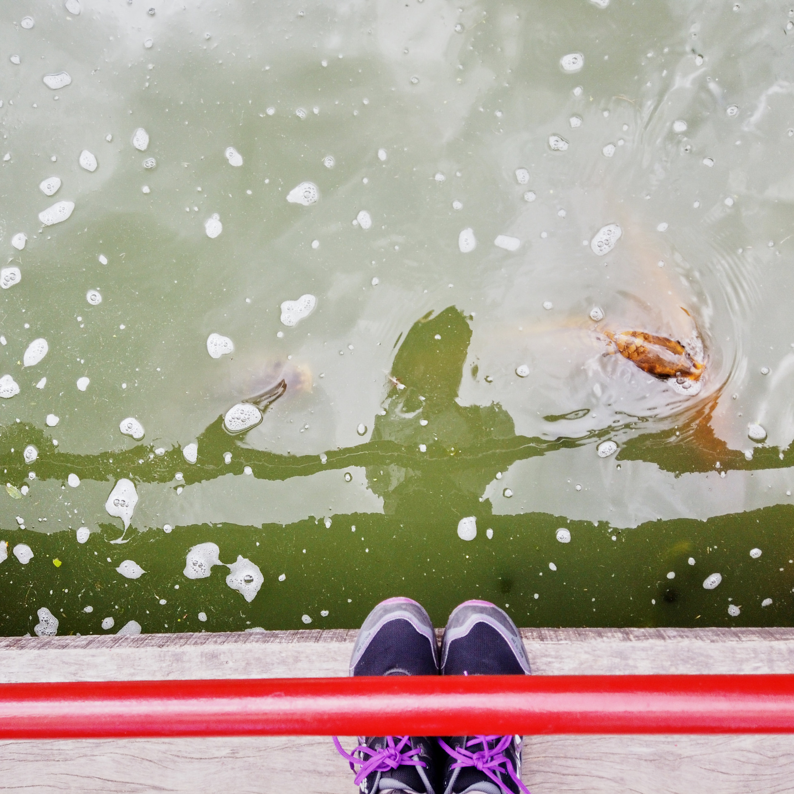 Патагония 2019. Айгуль Лотфуллина. #АйгульТВ. Фотограф в Адлере и Сочи, Красной Поляне