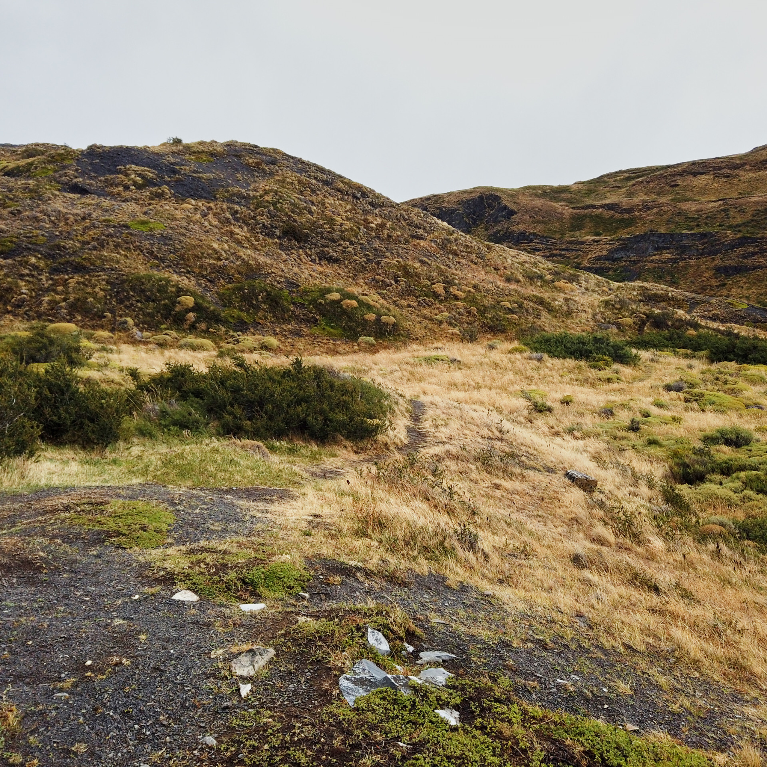 Патагония 2019. Айгуль Лотфуллина. #АйгульТВ. Фотограф в Адлере и Сочи, Красной Поляне