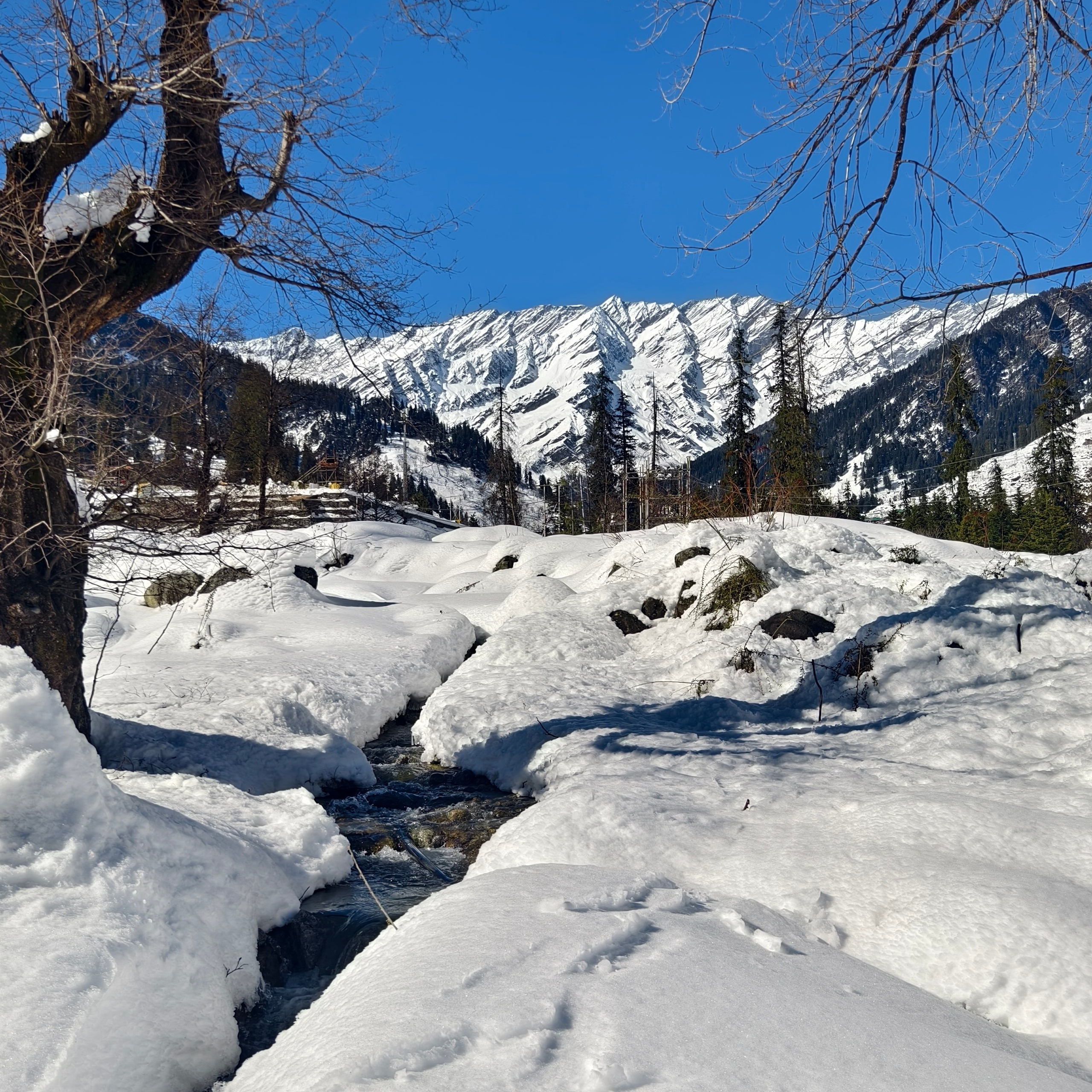 Путешествие в Долину Богов — Манали. Айгуль Лотфуллина. #АйгульТВ. Фотограф в Адлере и Сочи, Красной Поляне