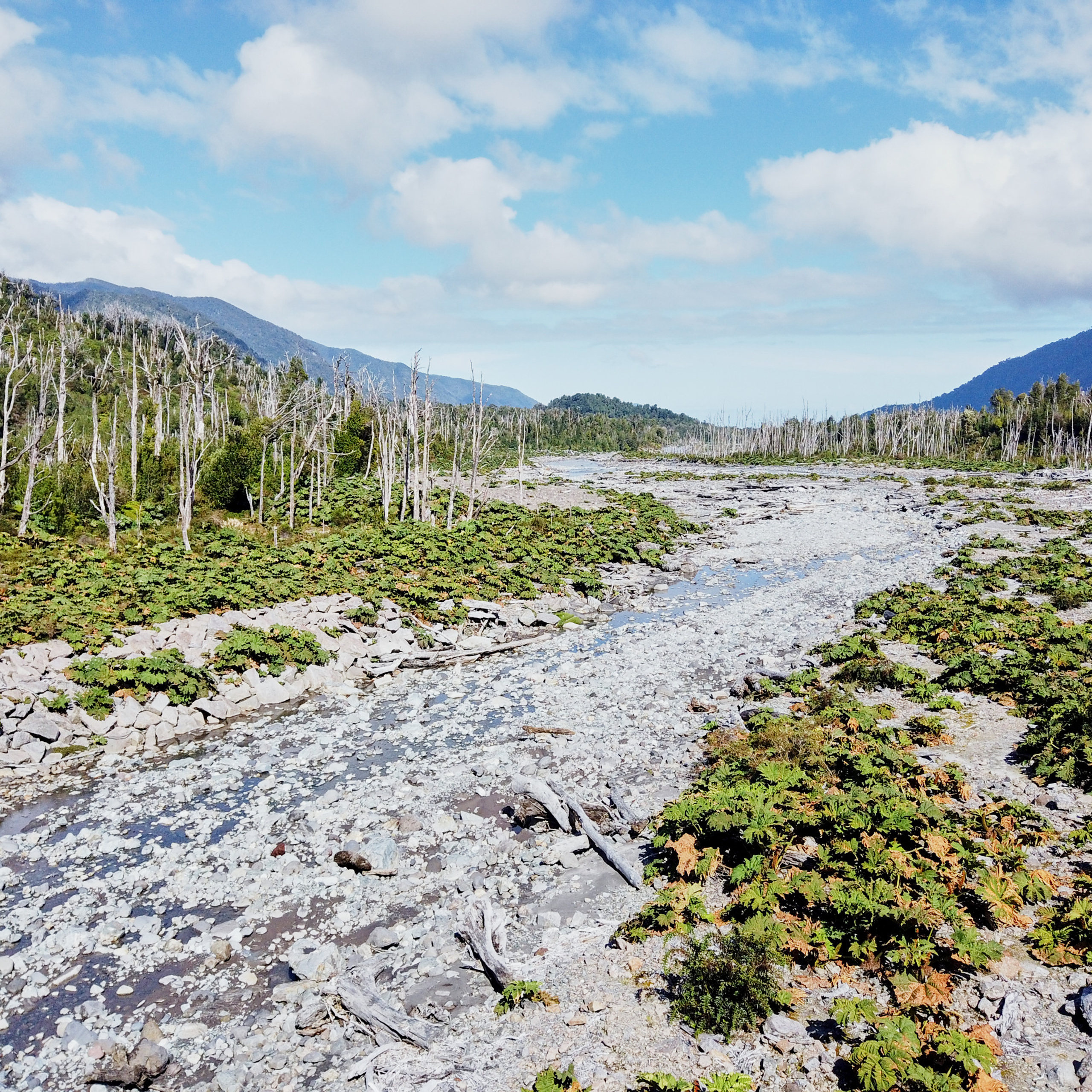 Патагония 2019. Айгуль Лотфуллина. #АйгульТВ. Фотограф в Адлере и Сочи, Красной Поляне