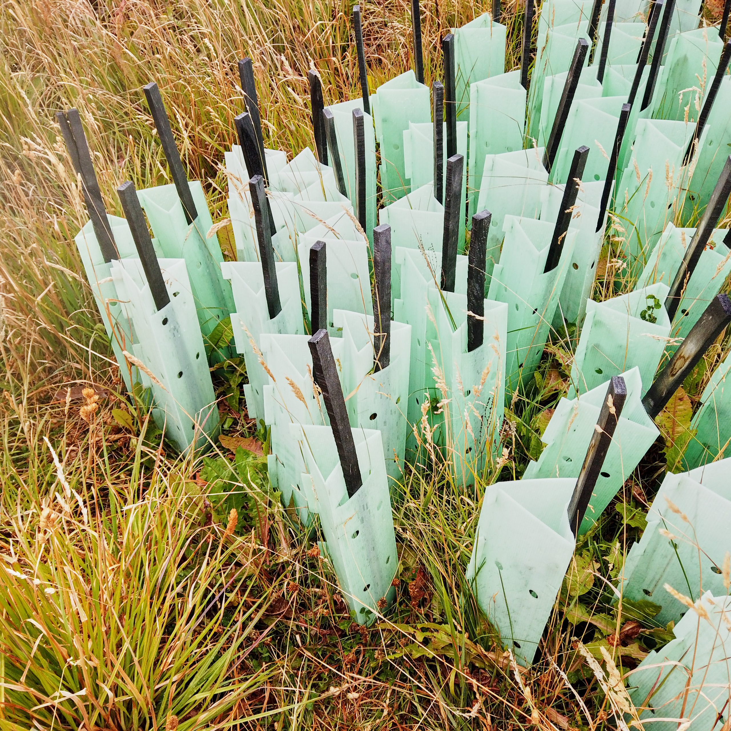 Патагония 2019. Айгуль Лотфуллина. #АйгульТВ. Фотограф в Адлере и Сочи, Красной Поляне