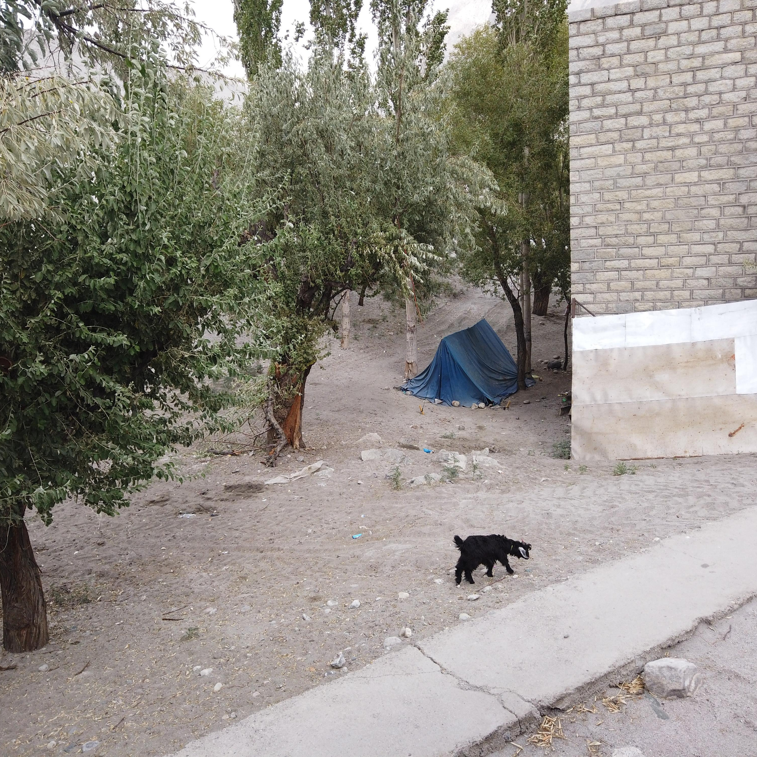 Пакистан 2019, путевые заметки, Лотфуллина Айгуль. Айгуль Лотфуллина. #АйгульТВ. Фотограф в Адлере и Сочи, Красной Поляне