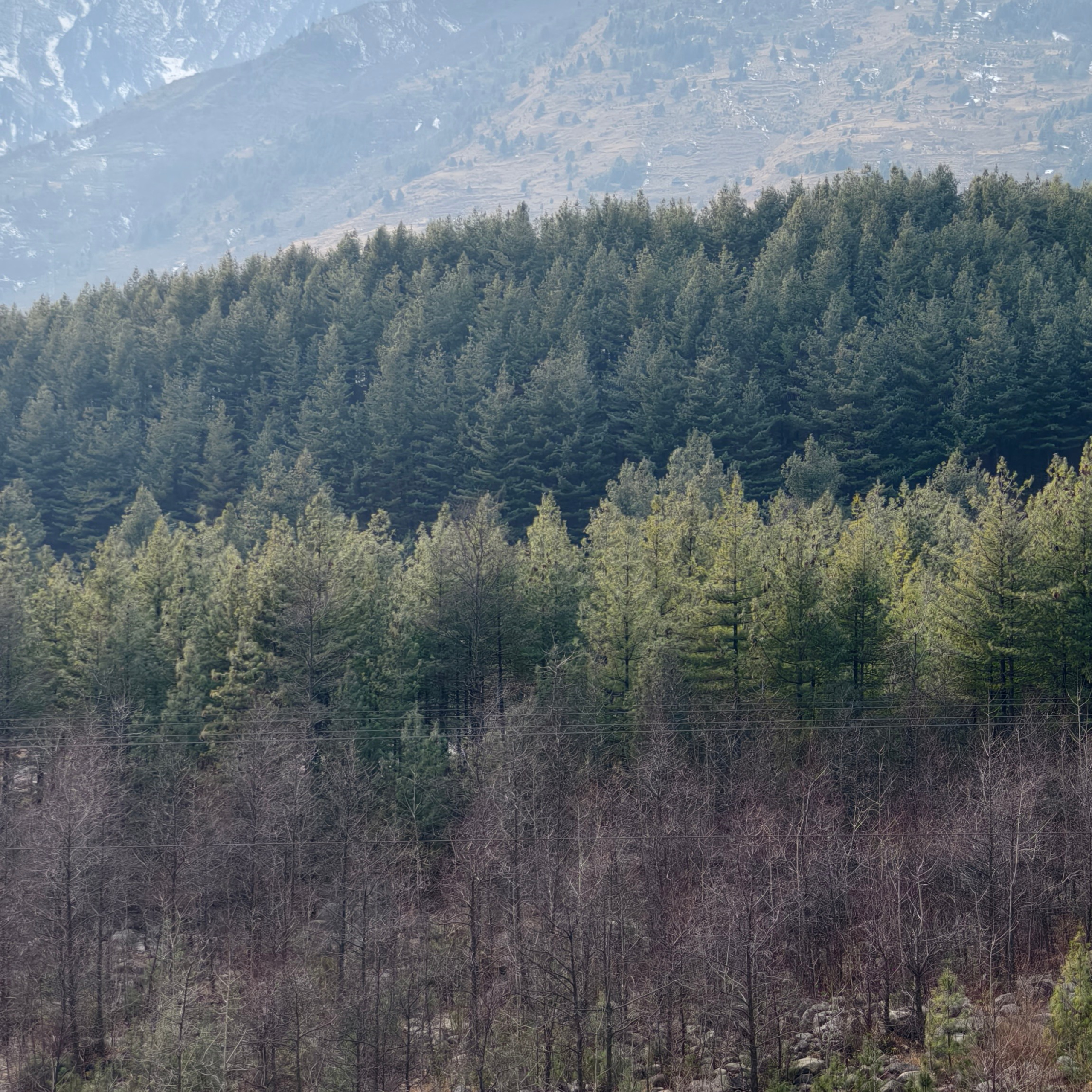 Путешествие в Долину Богов — Манали. Айгуль Лотфуллина. #АйгульТВ. Фотограф в Адлере и Сочи, Красной Поляне