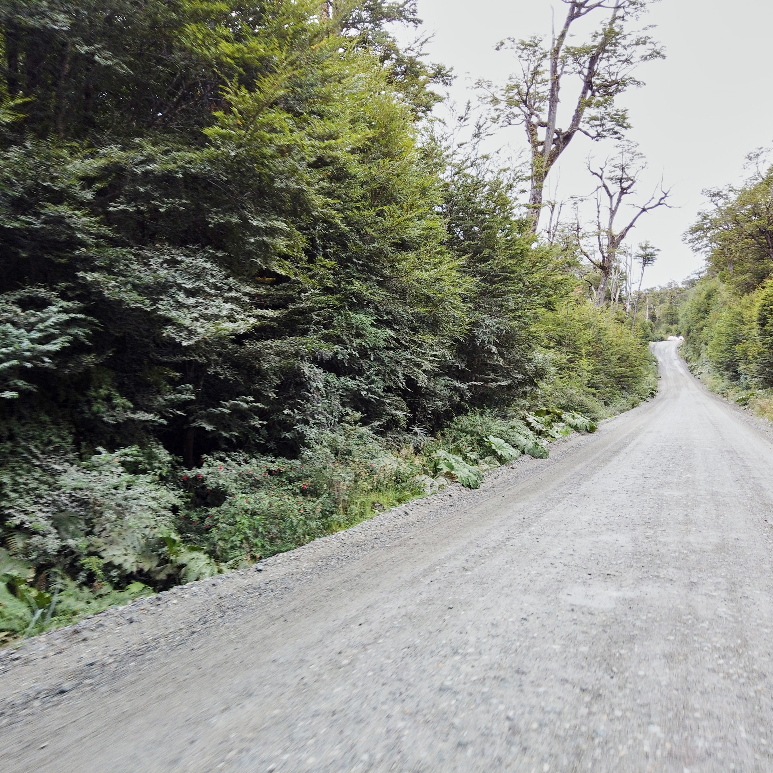 Патагония 2019. Айгуль Лотфуллина. #АйгульТВ. Фотограф в Адлере и Сочи, Красной Поляне